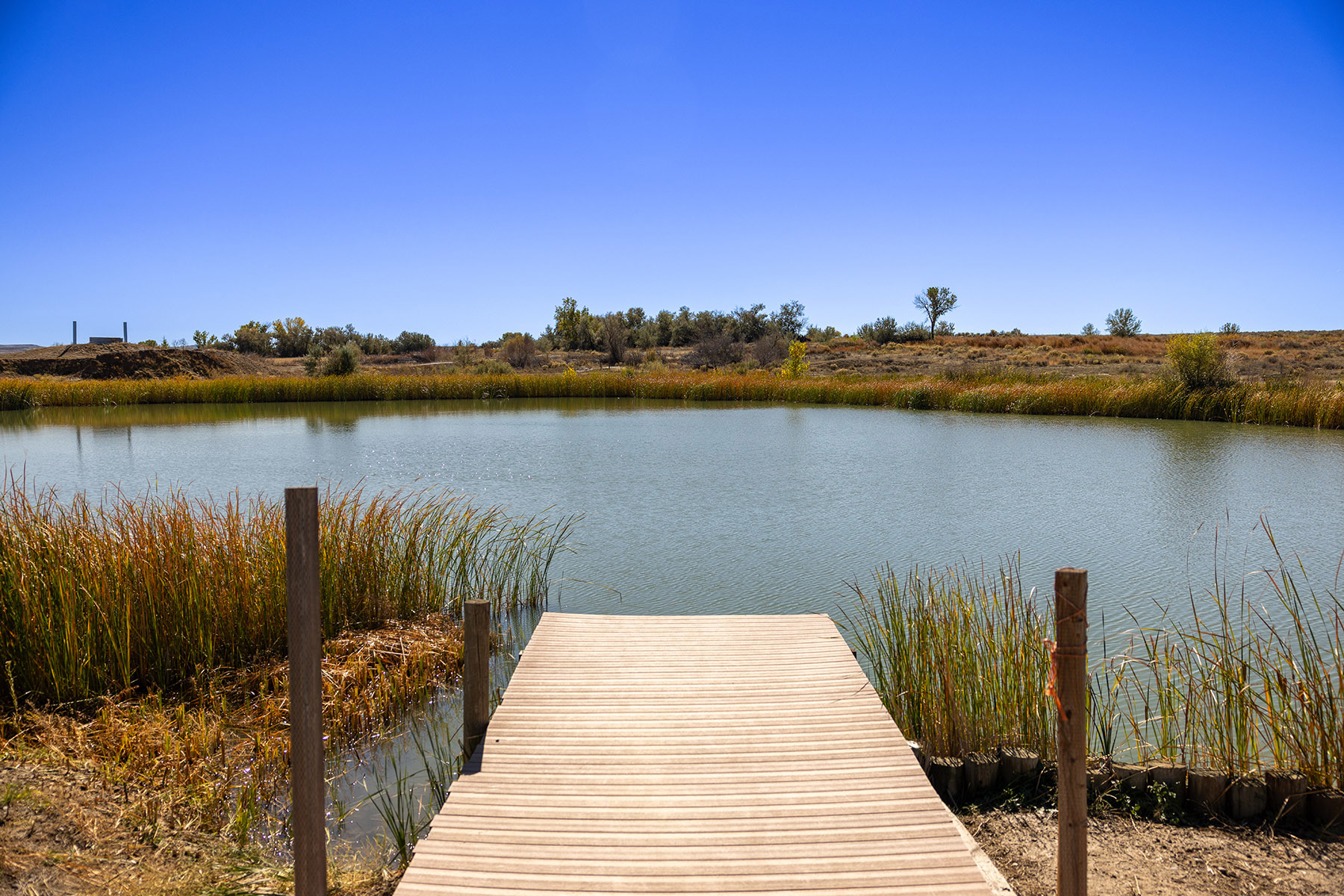 Boyd Farm property picture 2 of 80