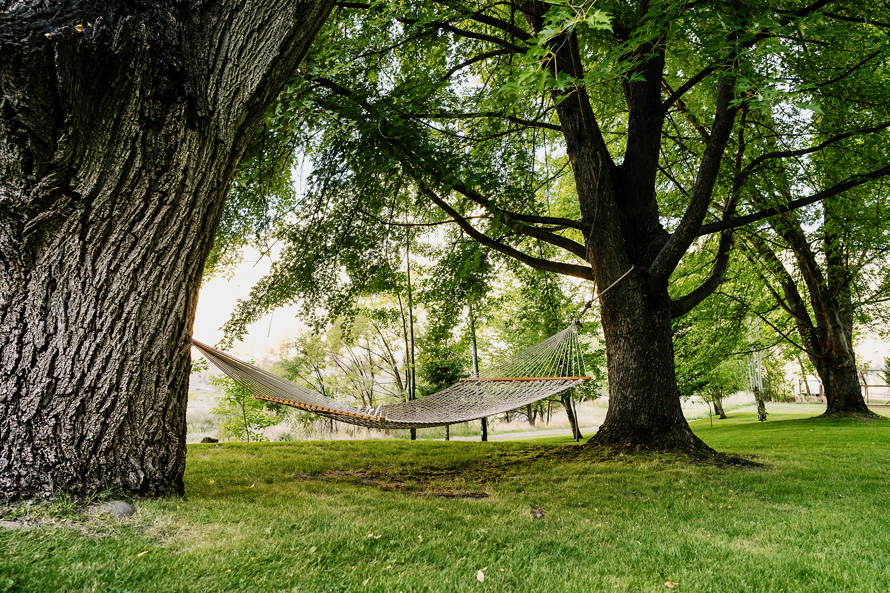 Mackay Bar Outfitters & Guest Ranch property picture 41 of 117
