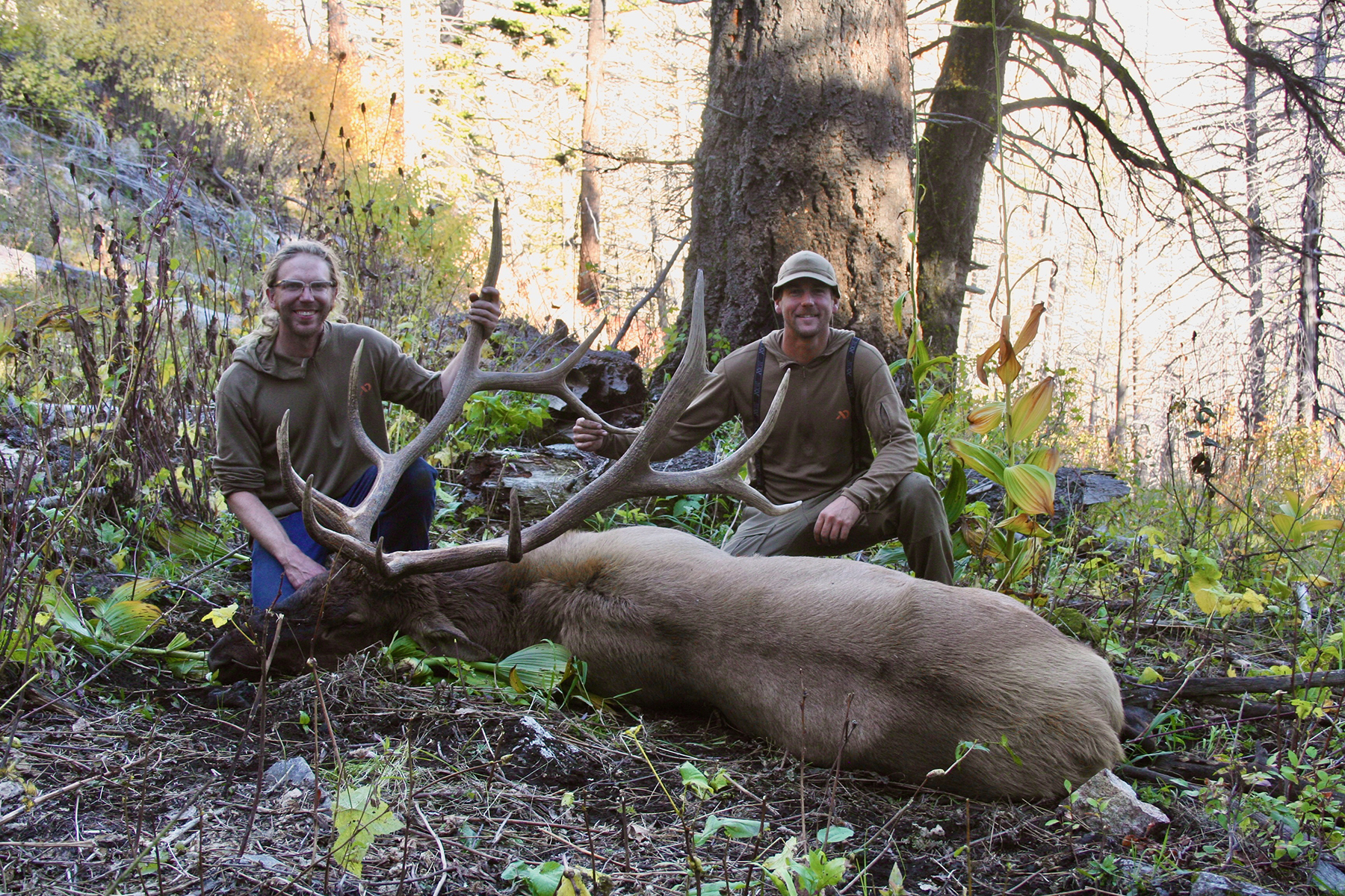 Mackay Bar Outfitters & Guest Ranch property picture 2 of 117