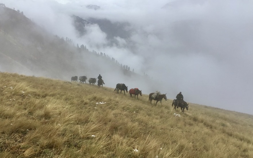 Mackay Bar Outfitters & Guest Ranch property picture 90 of 117