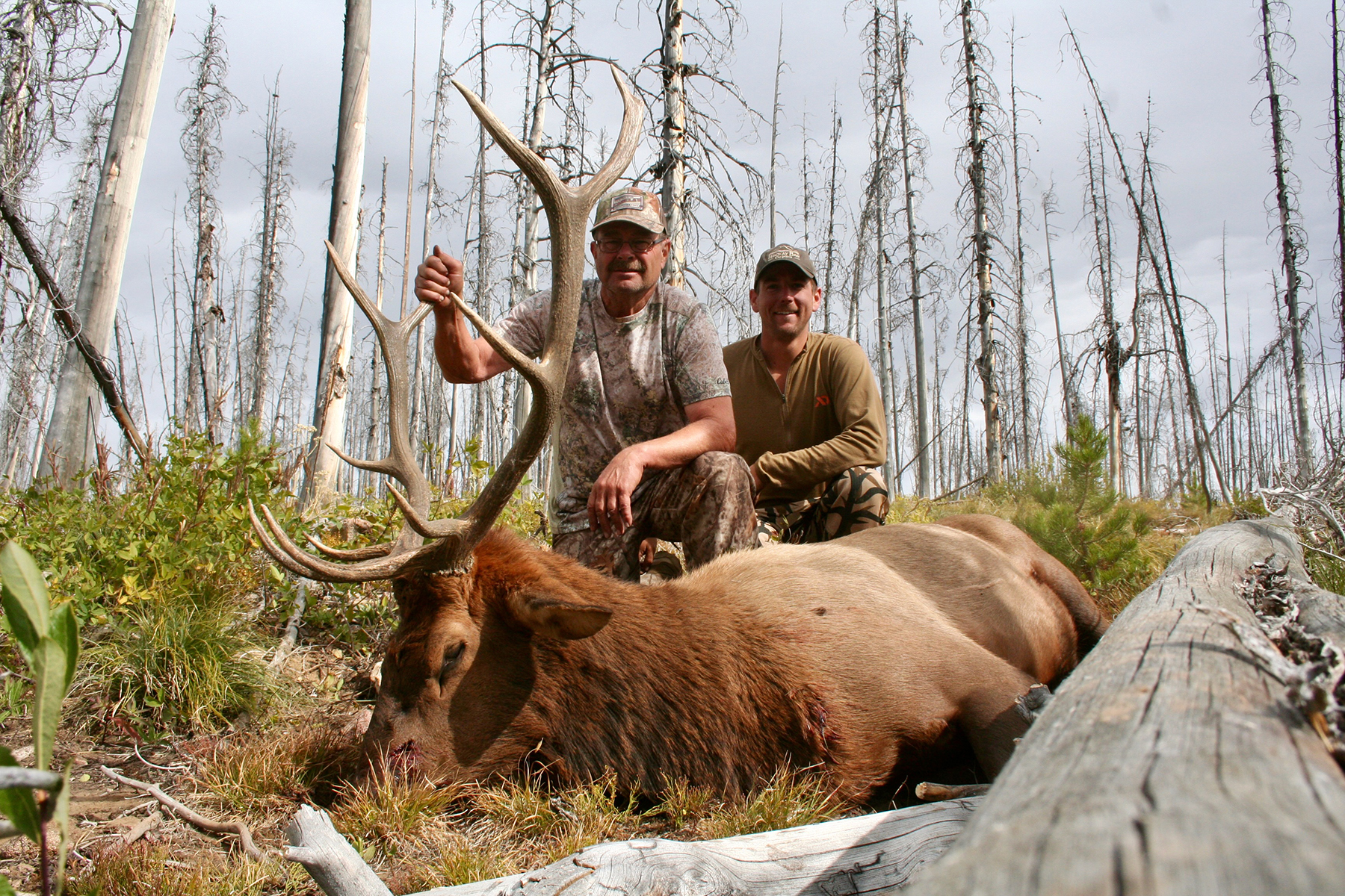 Mackay Bar Outfitters & Guest Ranch property picture 5 of 117