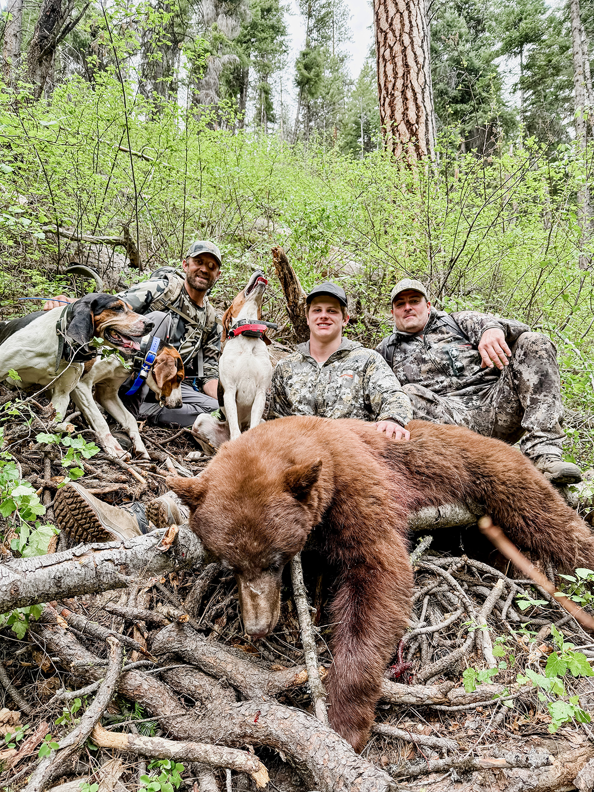 Mackay Bar Outfitters & Guest Ranch property picture 15 of 117