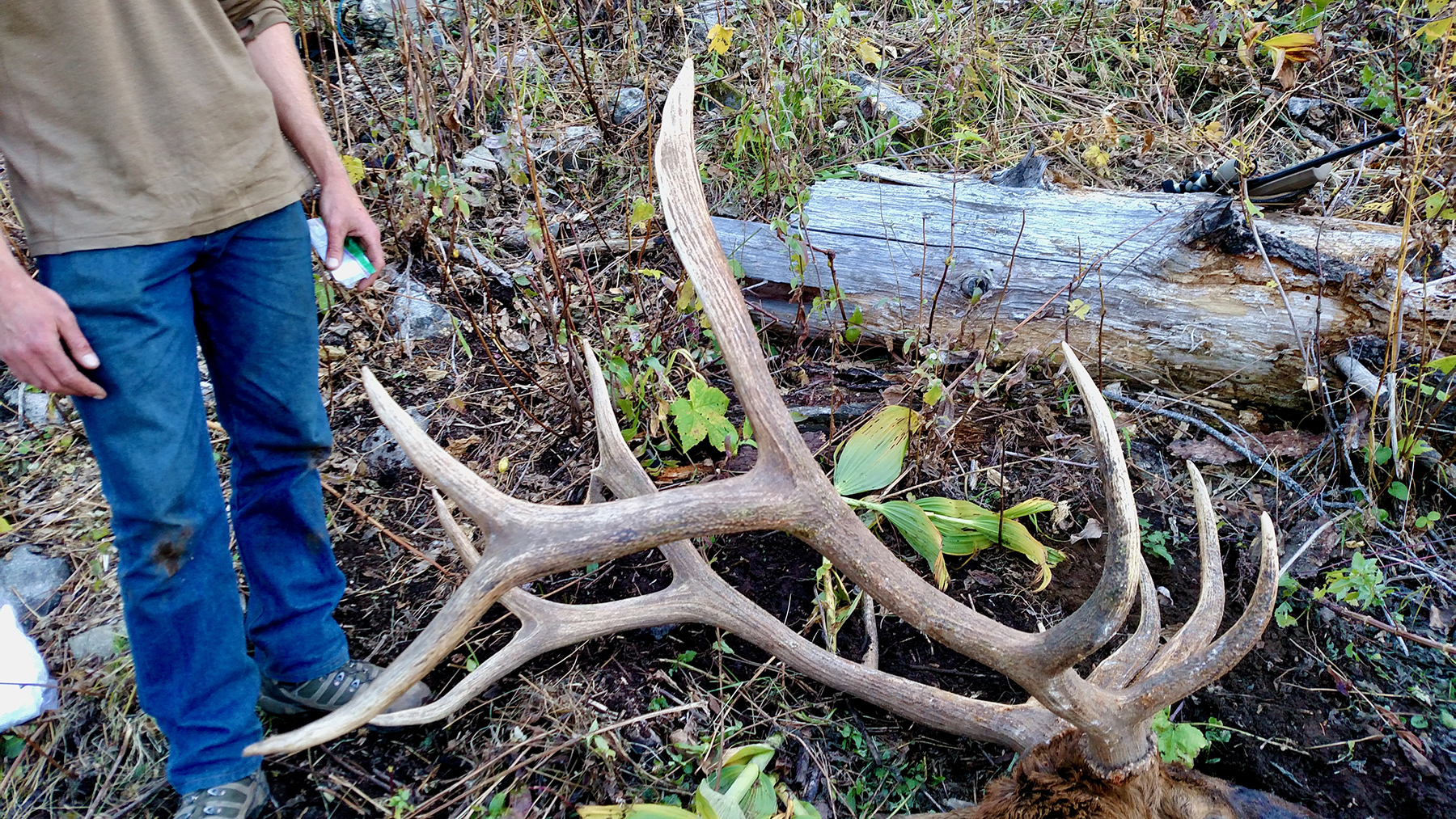 Mackay Bar Outfitters & Guest Ranch property picture 6 of 117