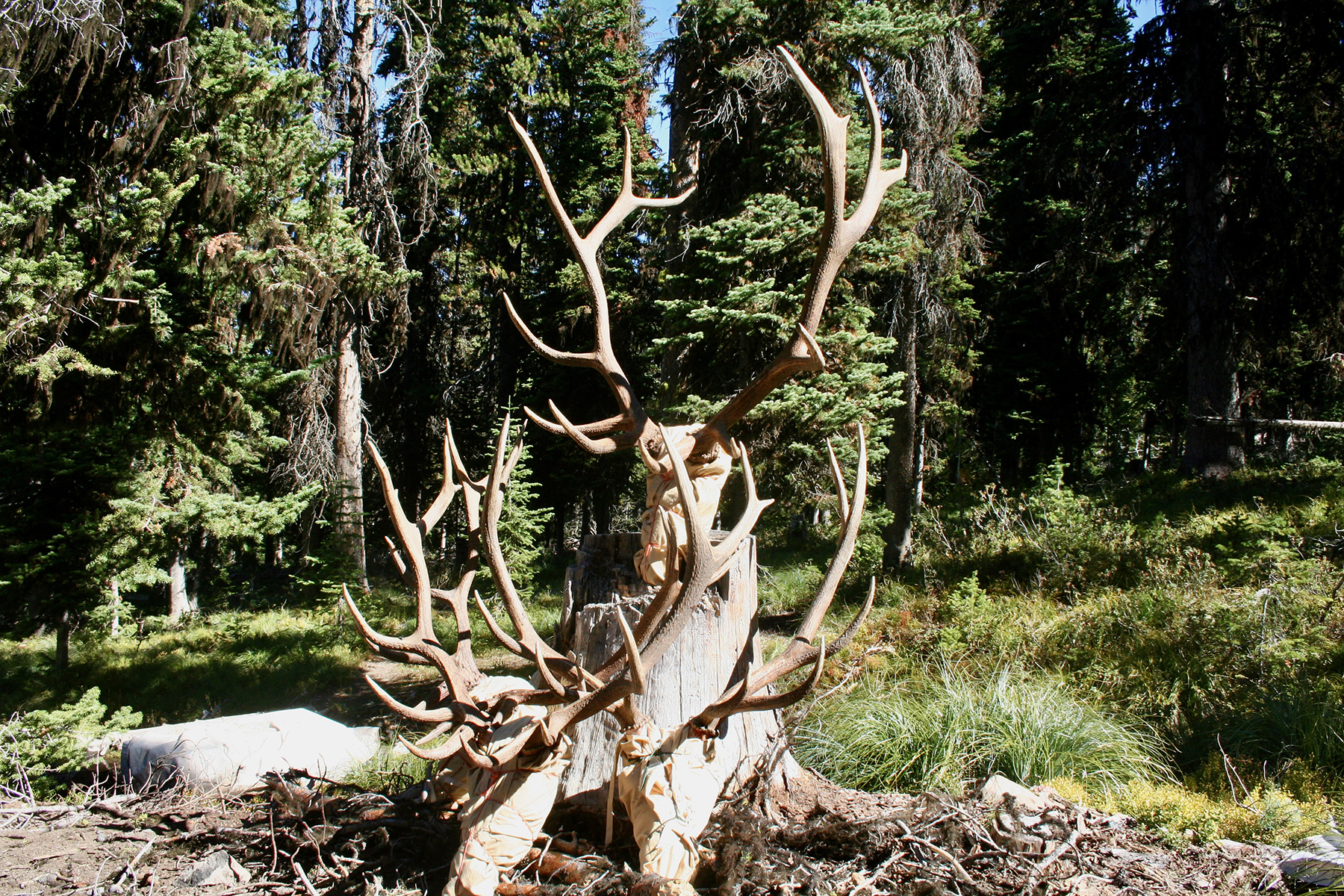 Mackay Bar Outfitters & Guest Ranch property picture 12 of 117