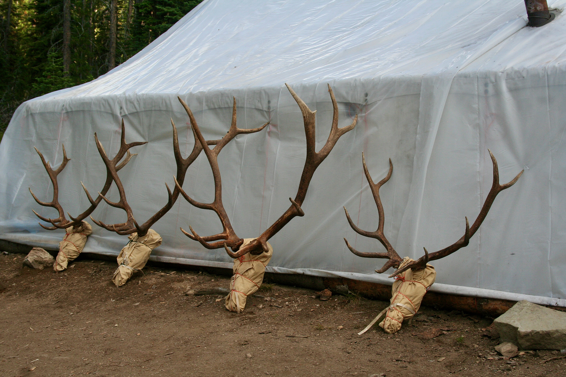 Mackay Bar Outfitters & Guest Ranch property picture 11 of 117