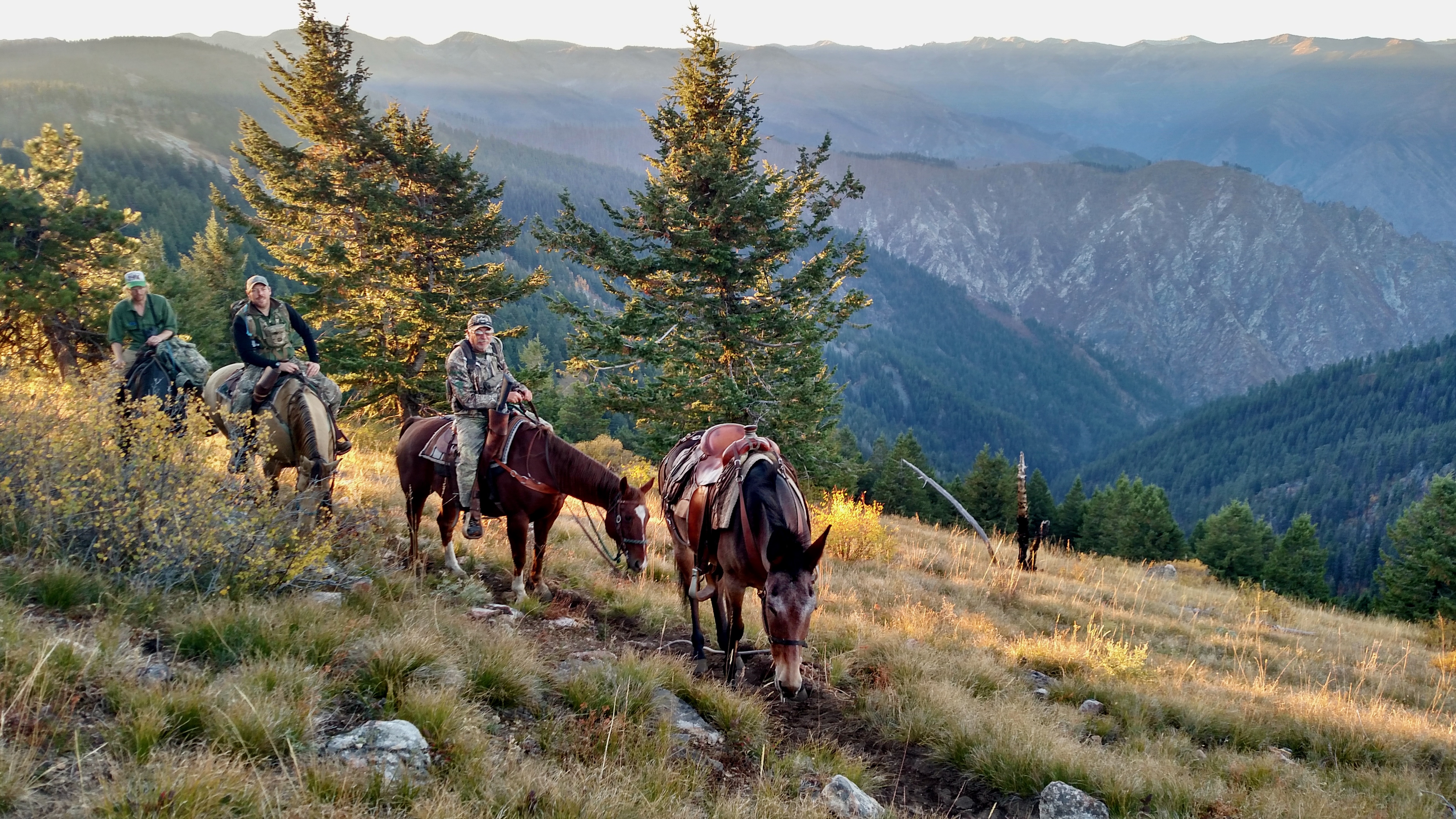Mackay Bar Outfitters & Guest Ranch property picture 89 of 117