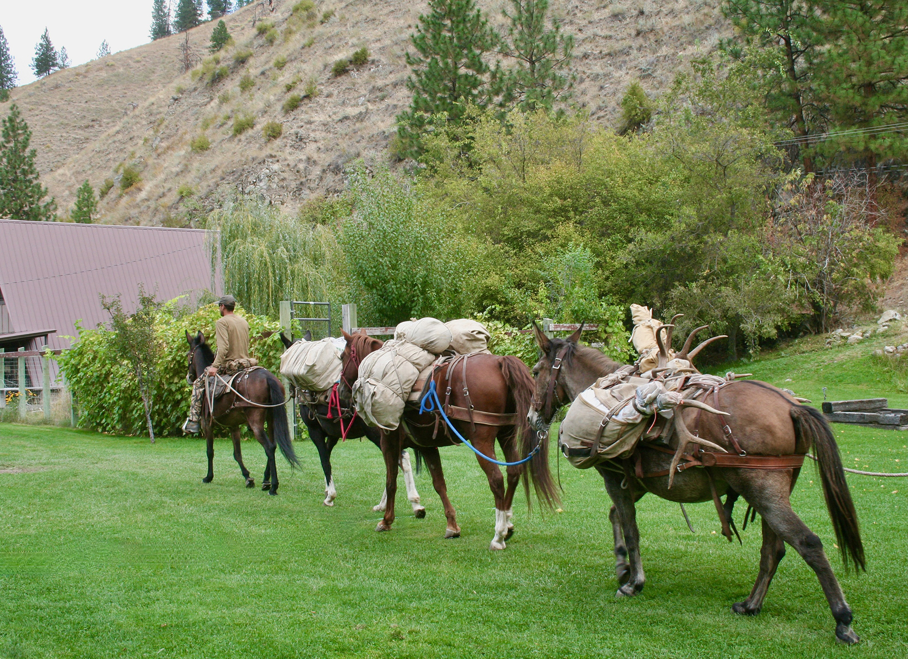 Mackay Bar Outfitters & Guest Ranch property picture 91 of 117