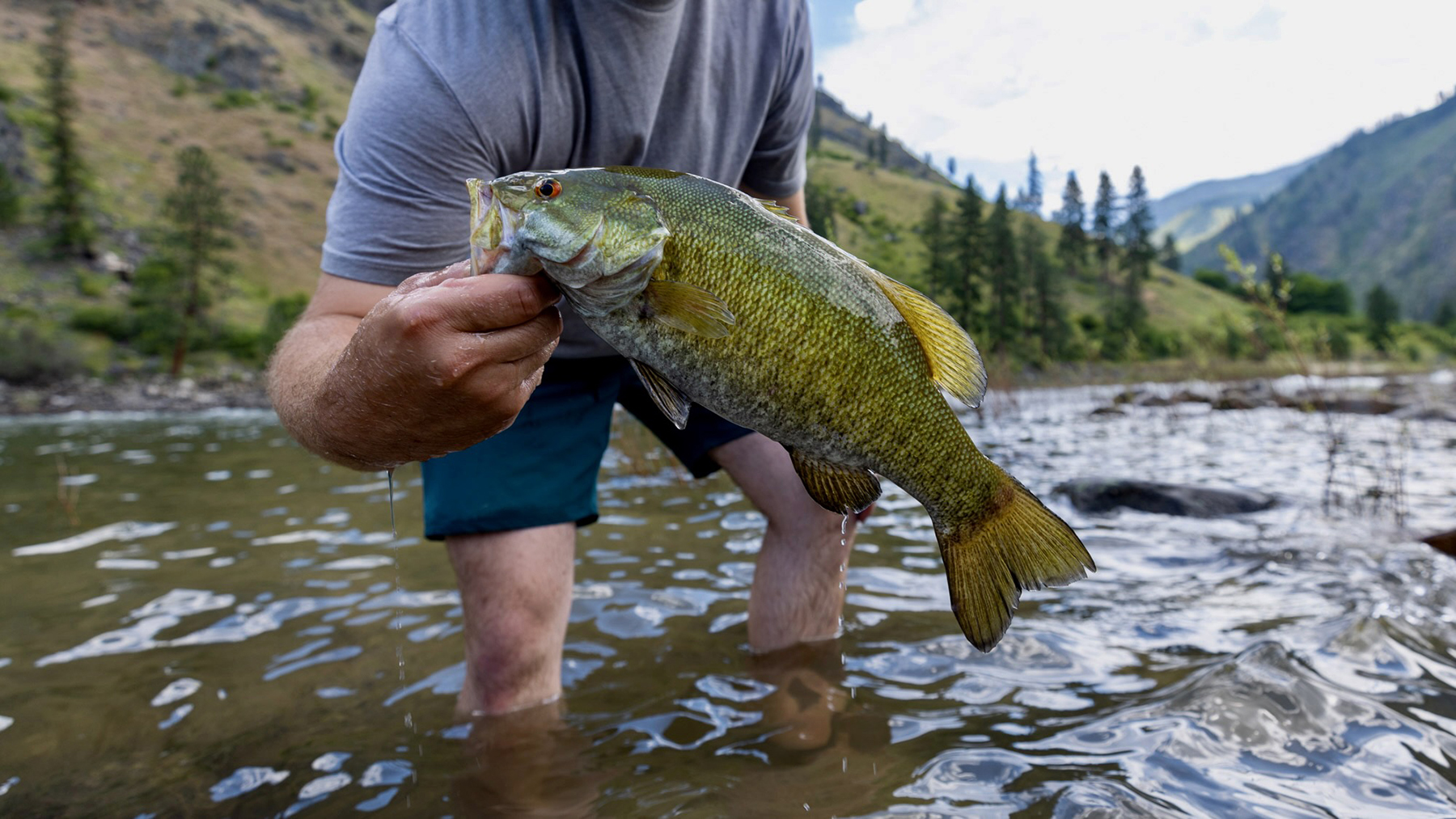 Mackay Bar Outfitters & Guest Ranch property picture 84 of 117