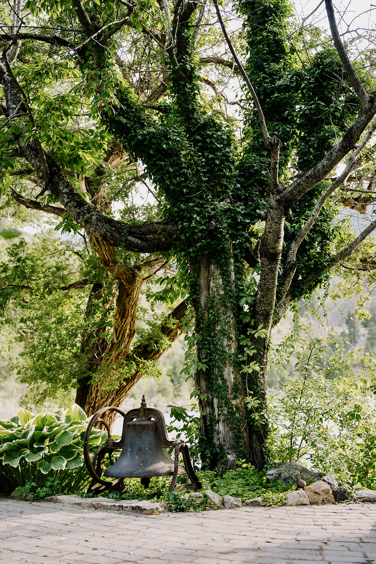 Mackay Bar Outfitters & Guest Ranch property picture 42 of 117