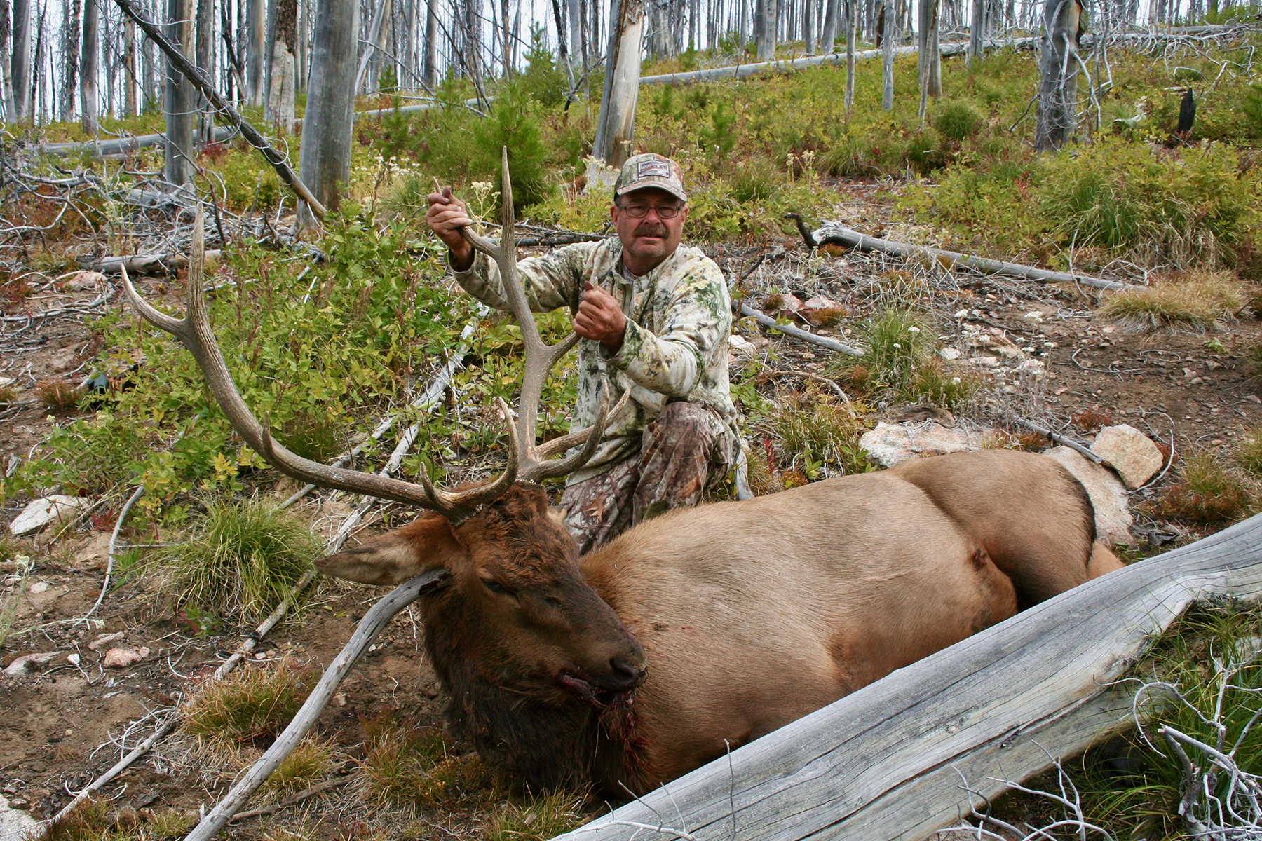 Mackay Bar Outfitters & Guest Ranch property picture 8 of 117