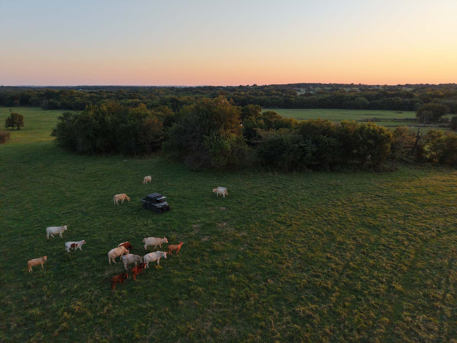 Oklahoma Land Auction - Tracts 1 - 6 (1931 Legacy) property picture 2 of 65