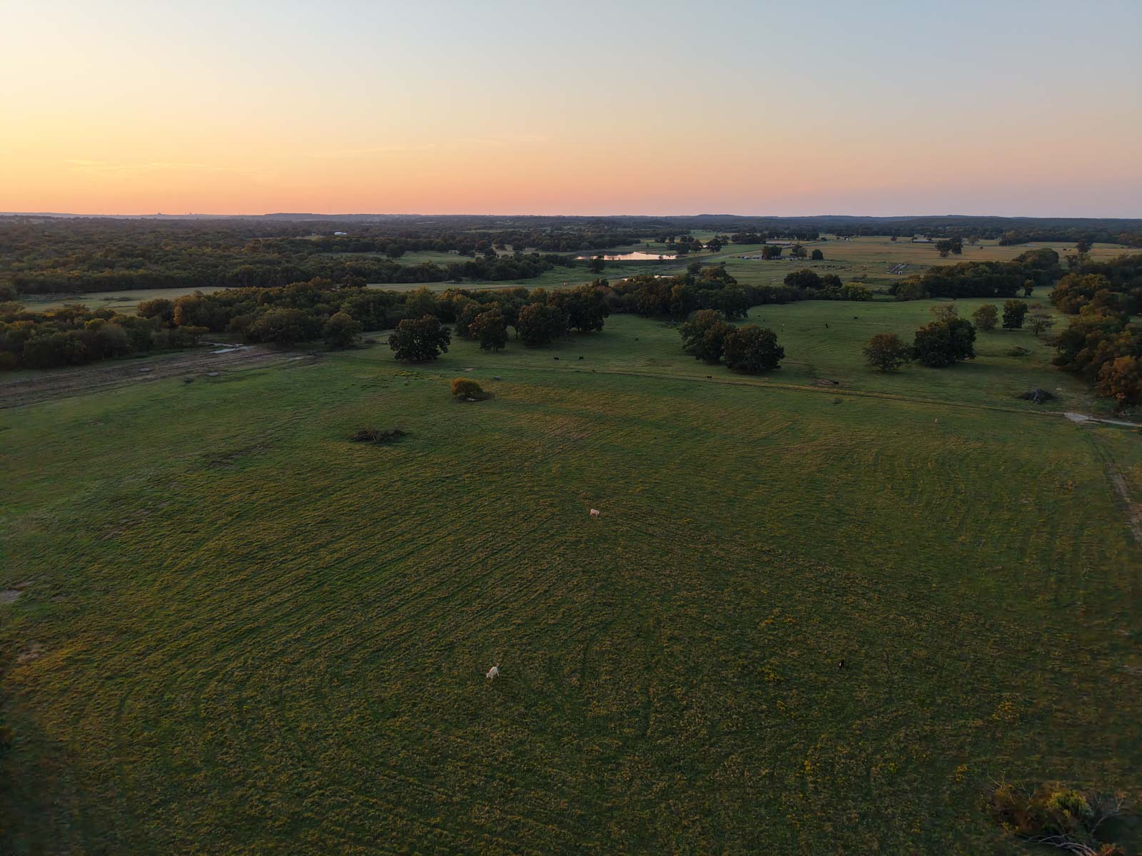 Oklahoma Land Auction - Tracts 1 - 6 (1931 Legacy) property picture 4 of 65