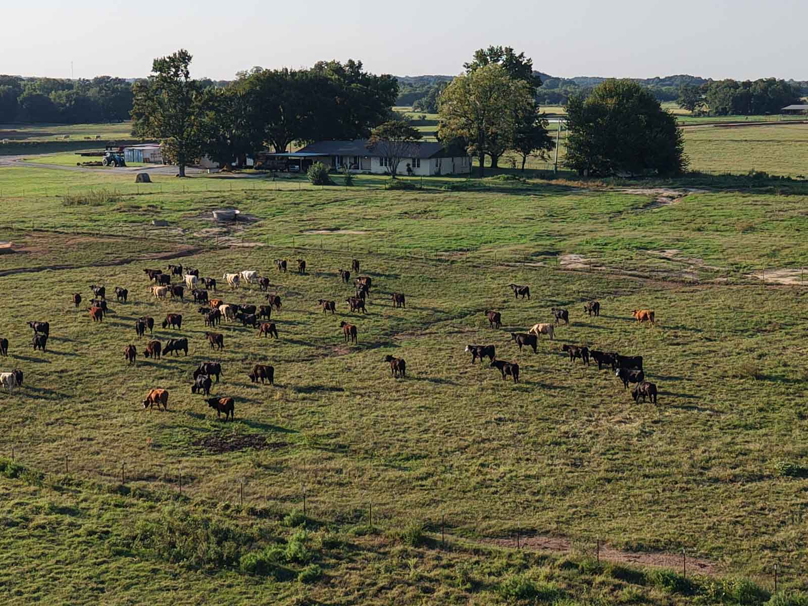 Oklahoma Land Auction - Tracts 1 - 6 (1931 Legacy) property picture 22 of 65