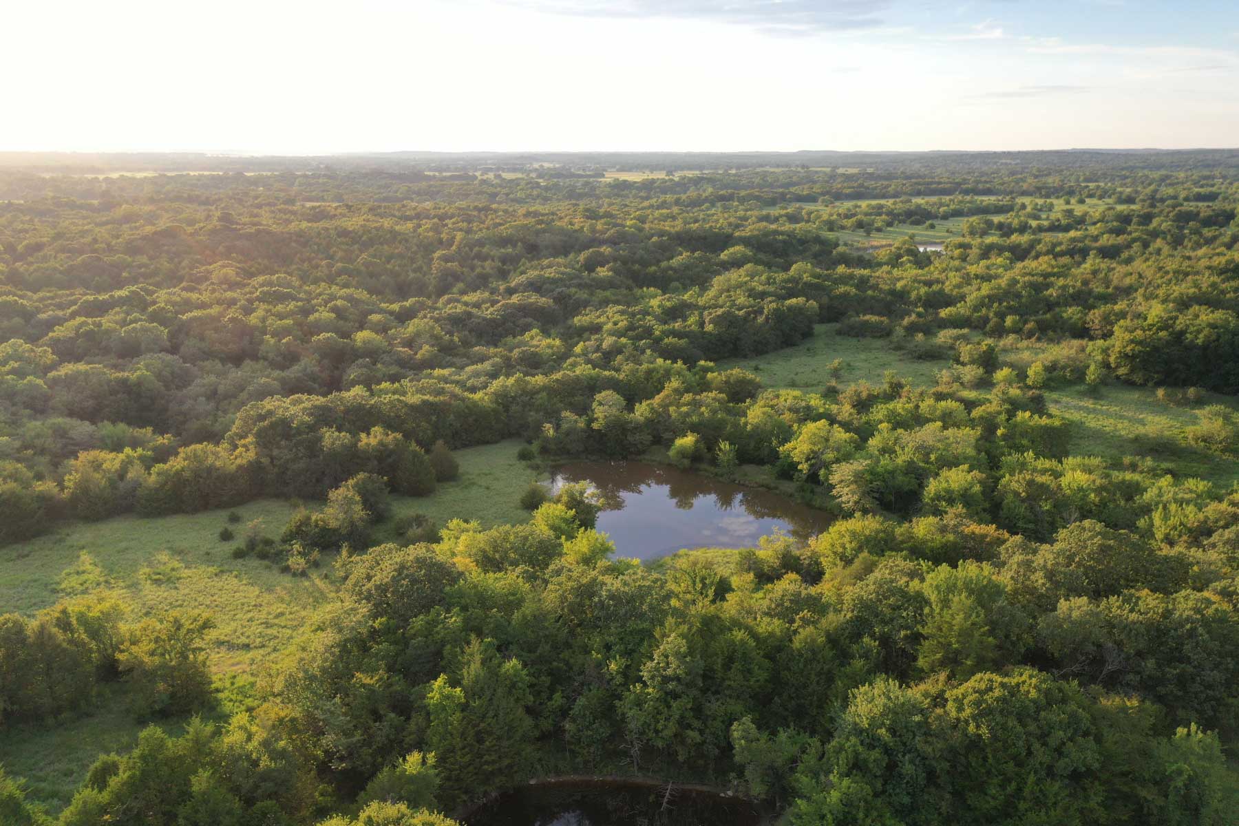 Oklahoma Land Auction - Tracts 7 - 12 (Woolley) property picture 26 of 27