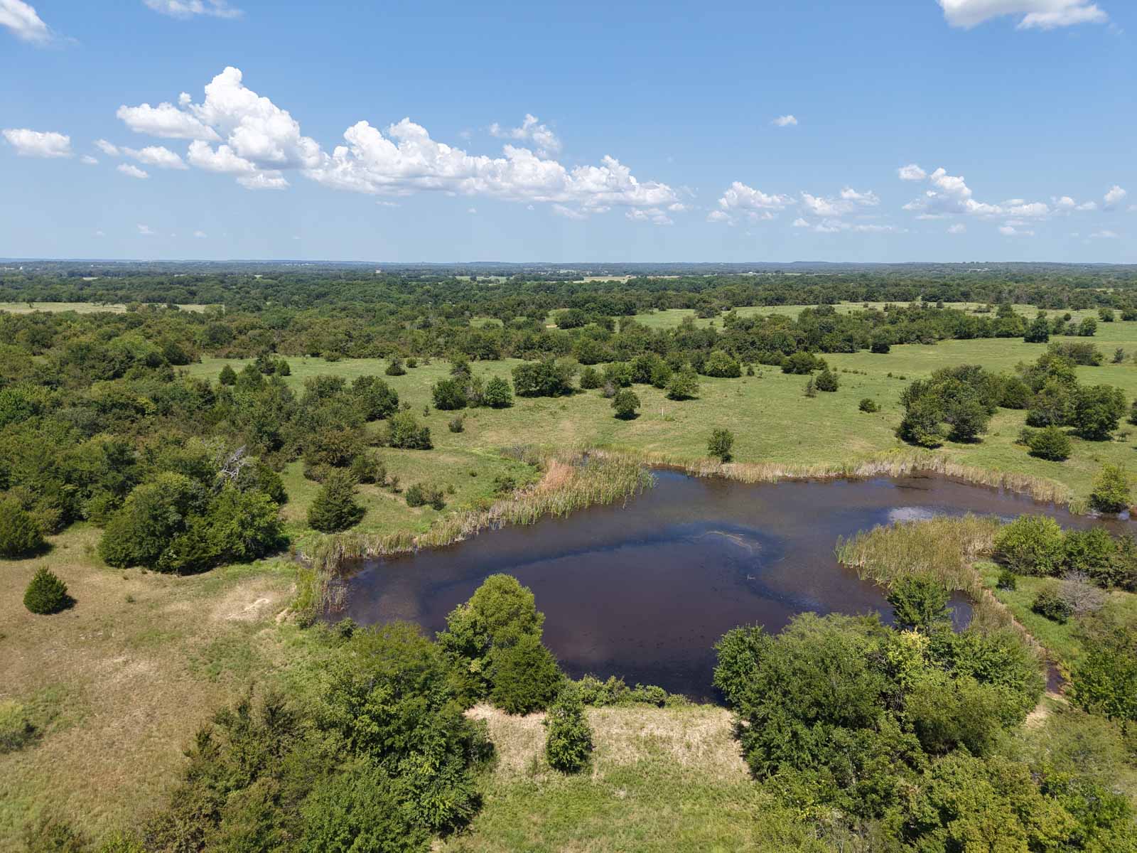 Oklahoma Land Auction - Tracts 7 - 12 (Woolley) property picture 3 of 27