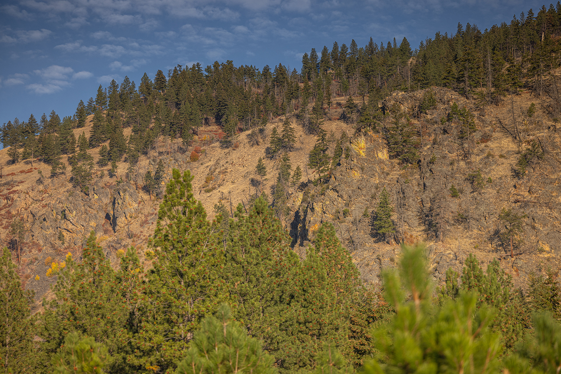 Peregrine Peak Ranch property picture 19 of 39