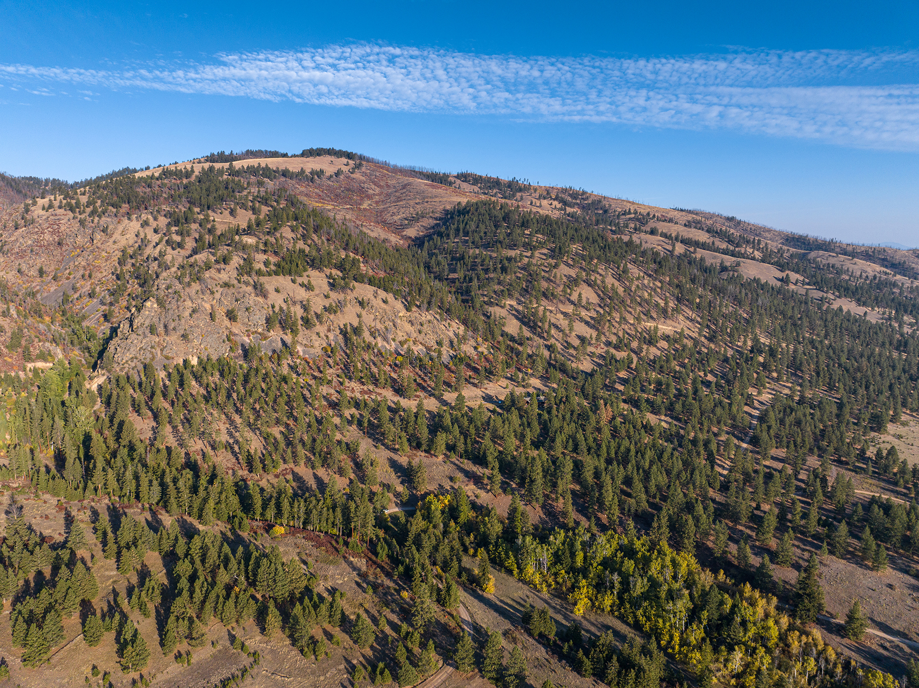 Peregrine Peak Ranch property picture 18 of 39