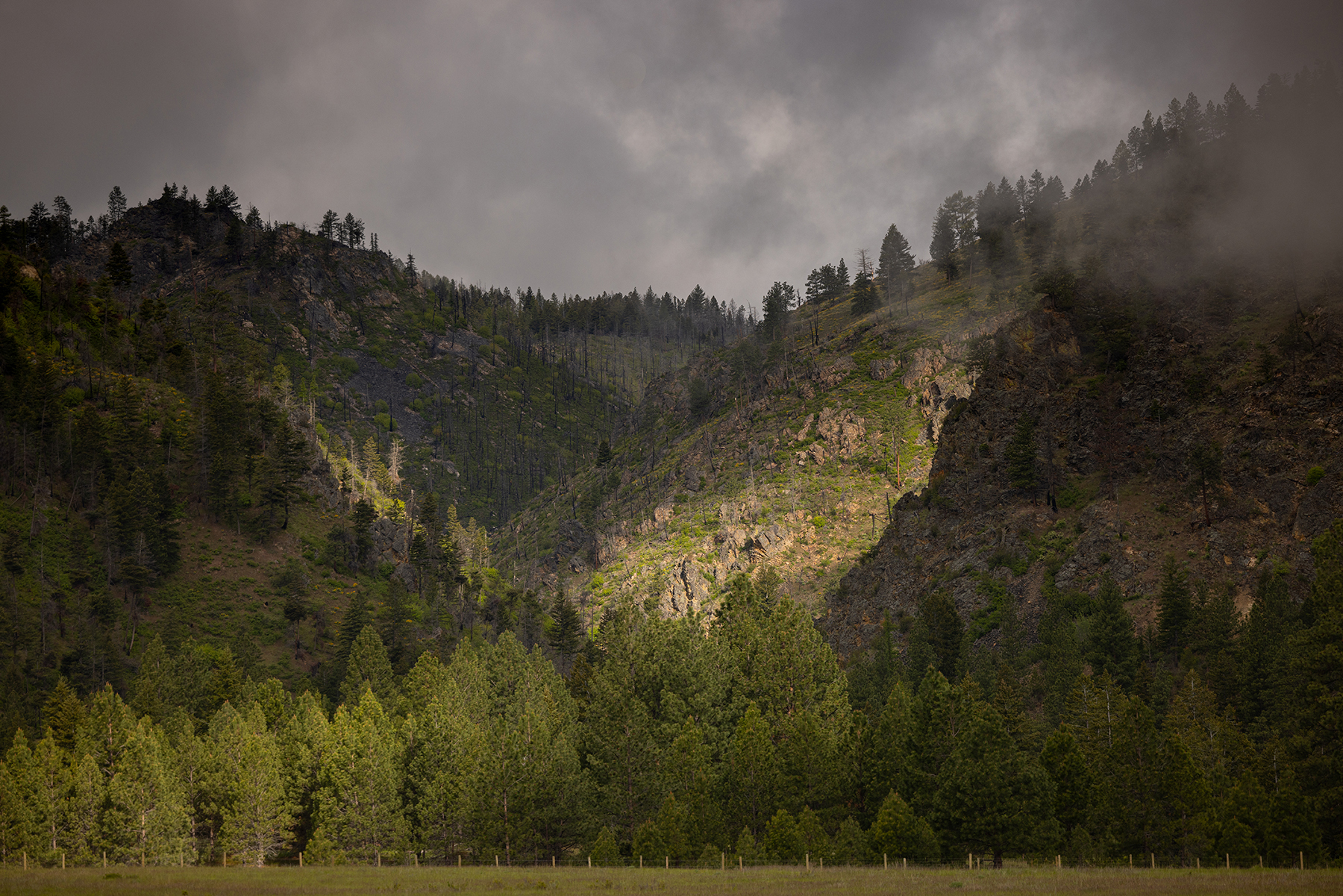 Peregrine Peak Ranch property picture 3 of 39