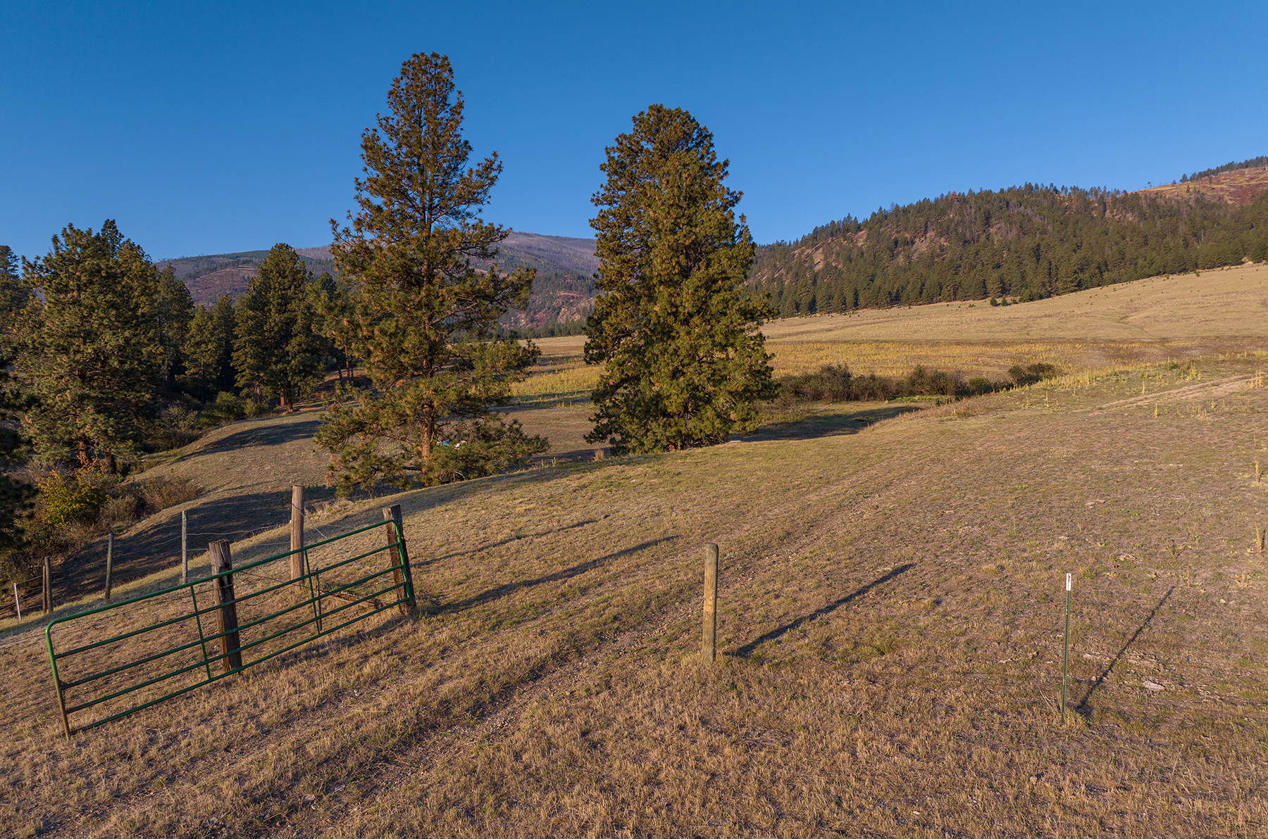 Peregrine Peak Ranch property picture 17 of 39