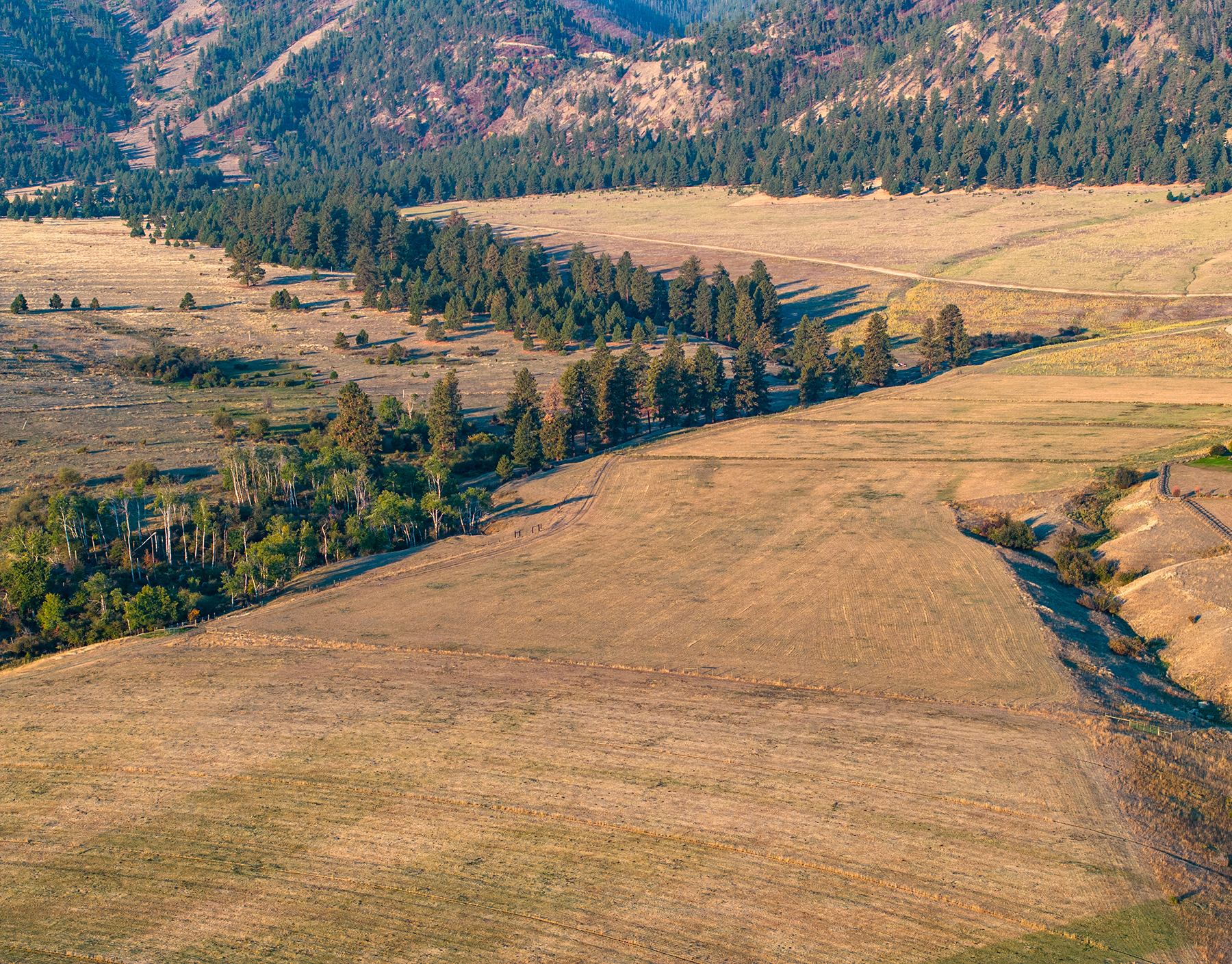 Peregrine Peak Ranch property picture 14 of 39