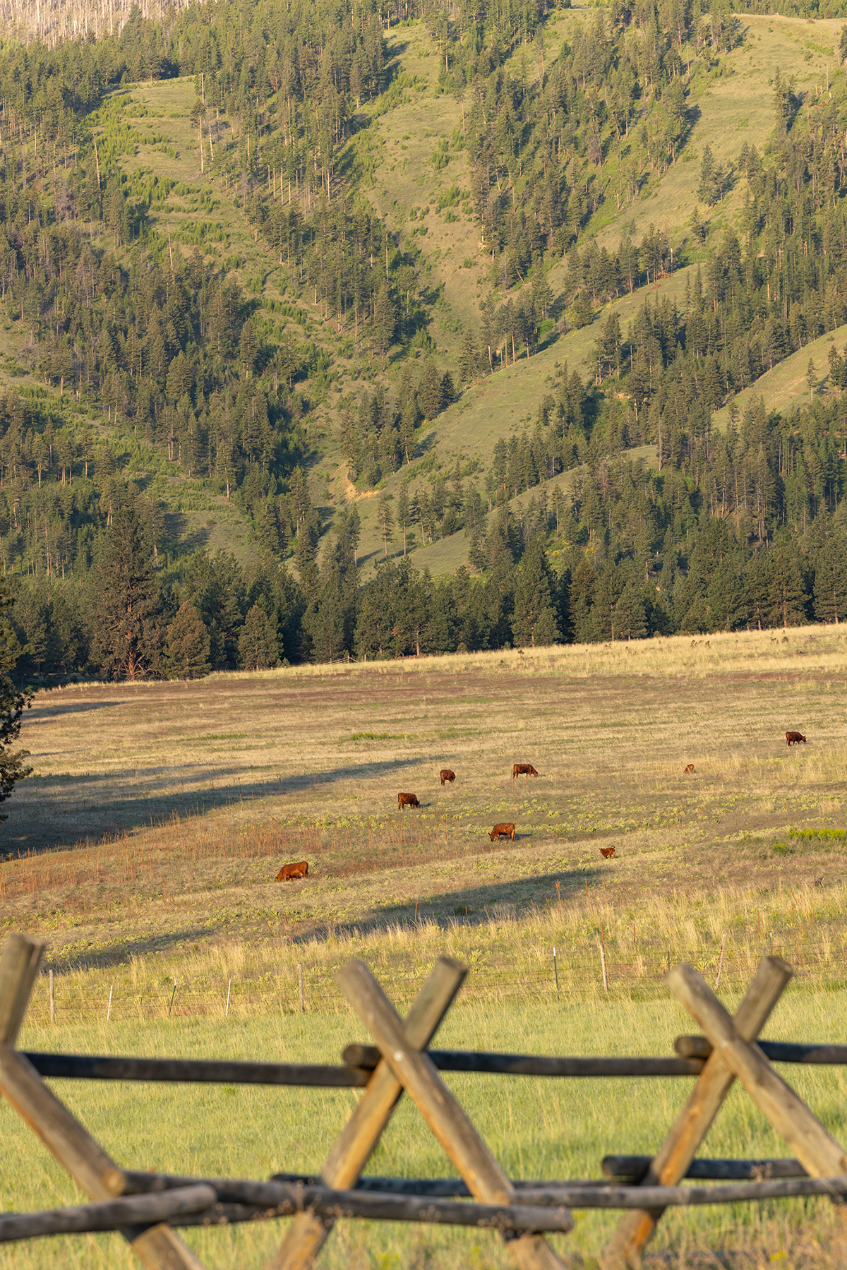 Peregrine Peak Ranch property picture 7 of 39
