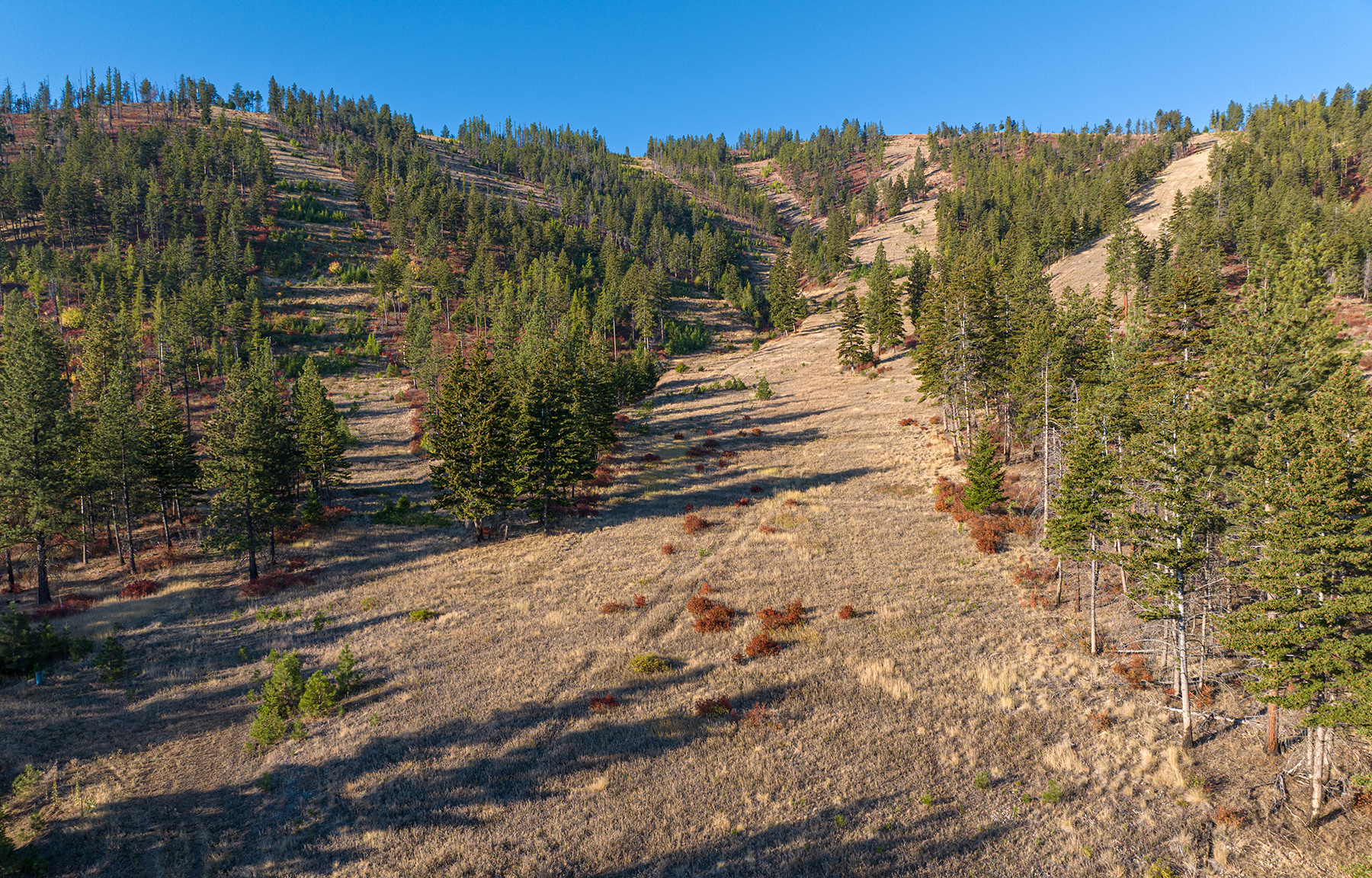 Summit at Lolo Ranch property picture 15 of 28