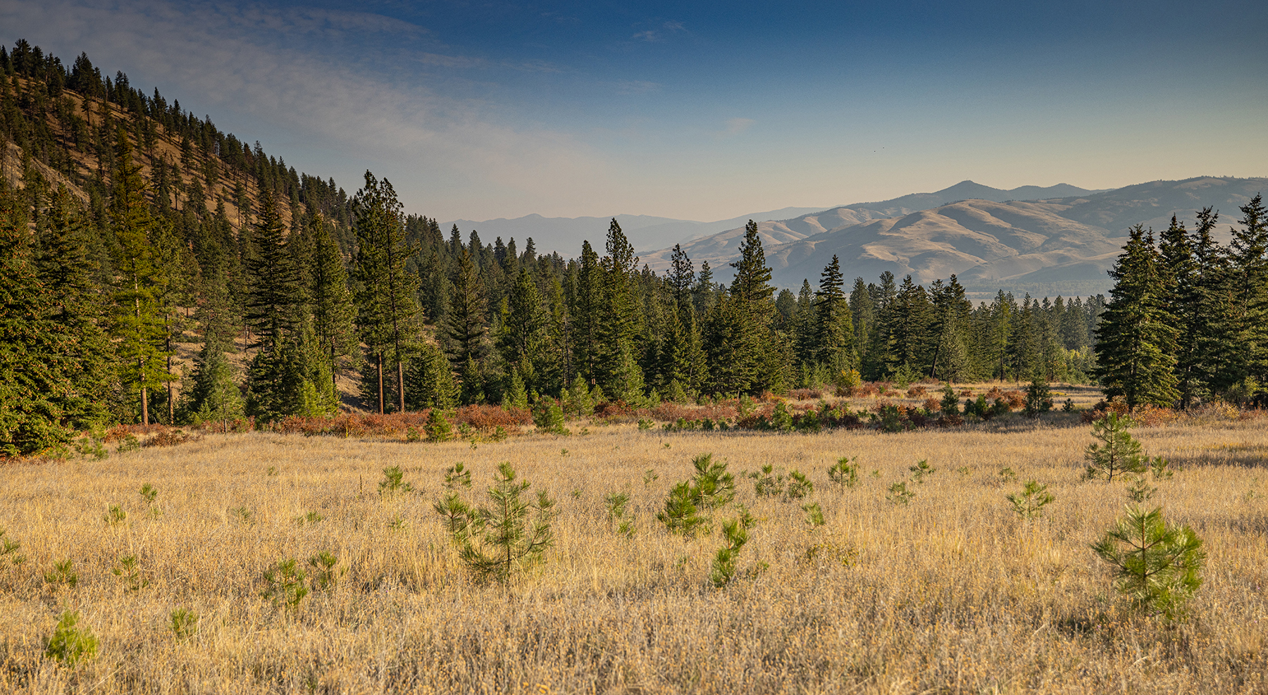 Summit at Lolo Ranch property picture 27 of 28
