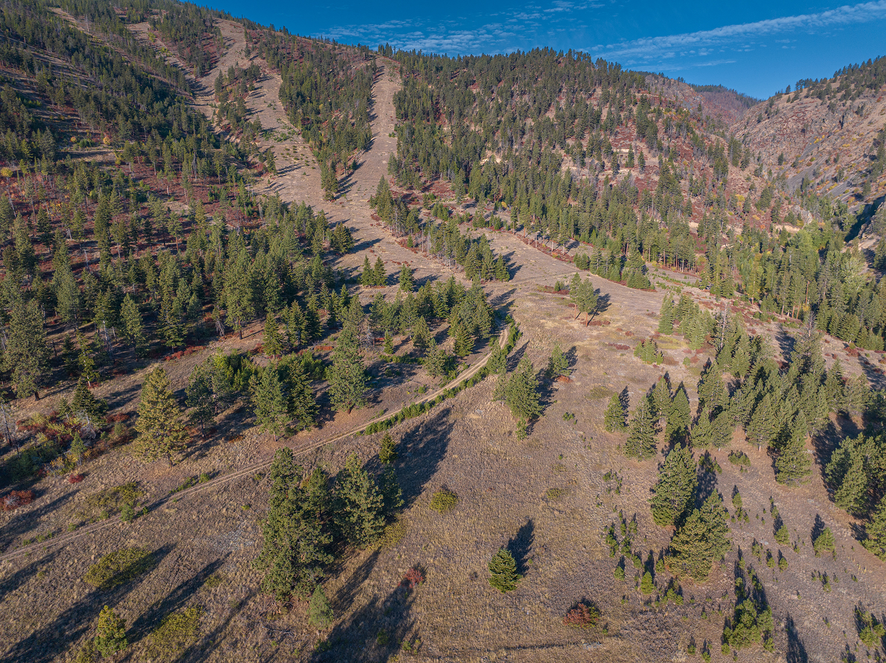 Summit at Lolo Ranch property picture 18 of 28