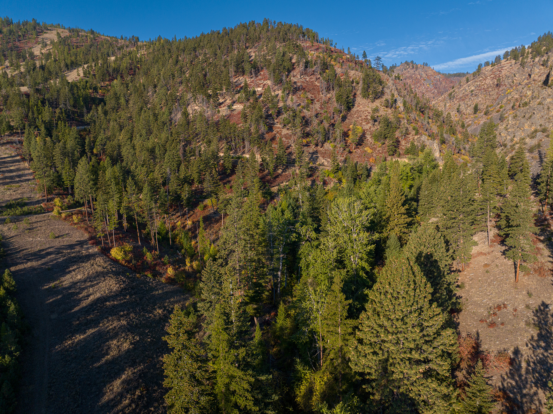 Summit at Lolo Ranch property picture 12 of 28