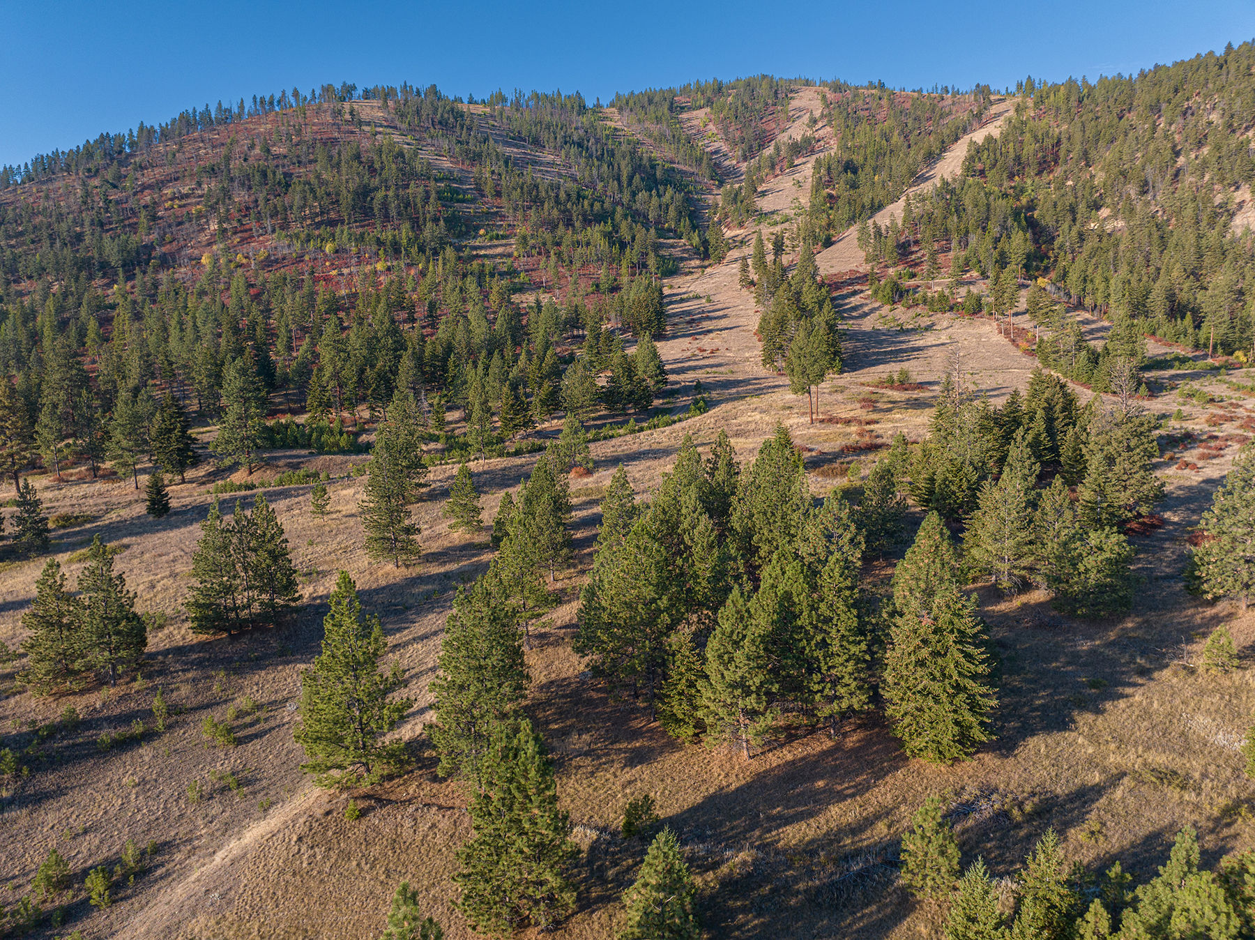 Summit at Lolo Ranch property picture 10 of 28