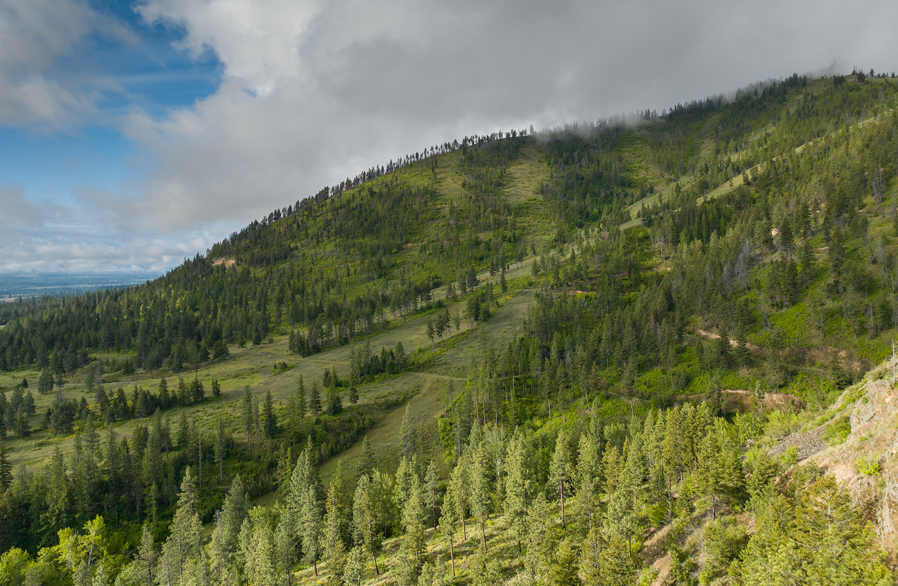 Summit at Lolo Ranch property picture 8 of 28