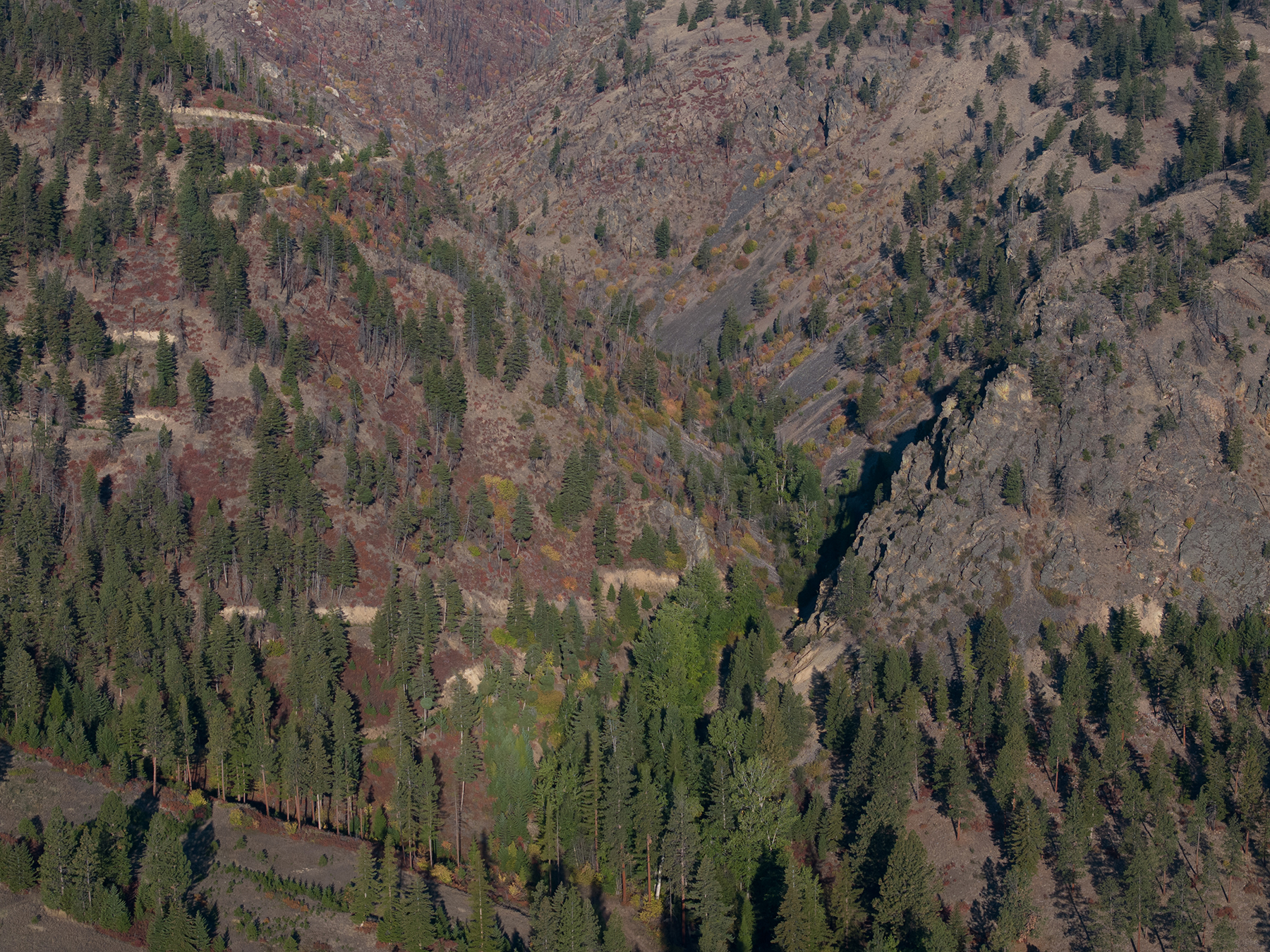 Summit at Lolo Ranch property picture 20 of 28
