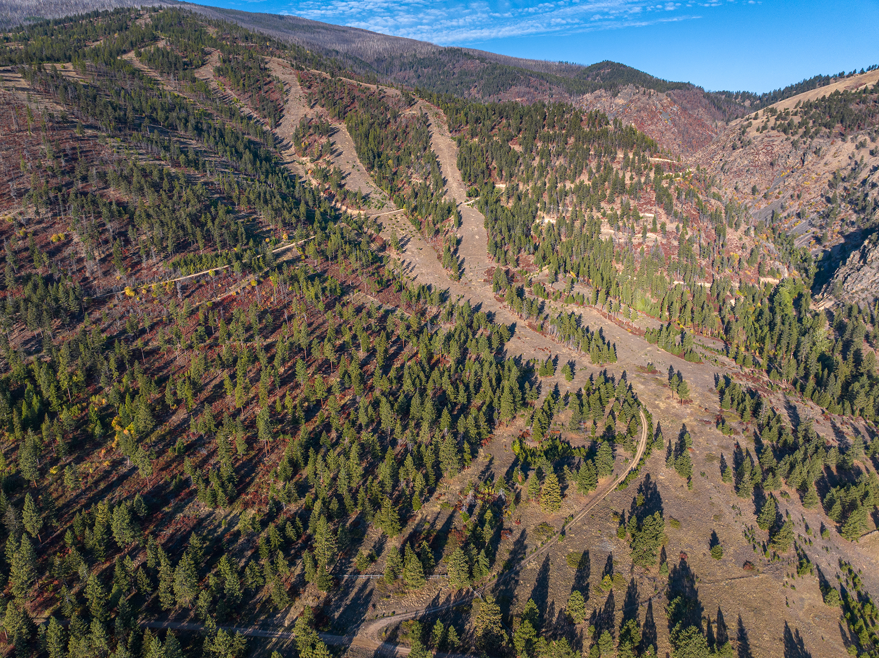 Summit at Lolo Ranch property picture 19 of 28