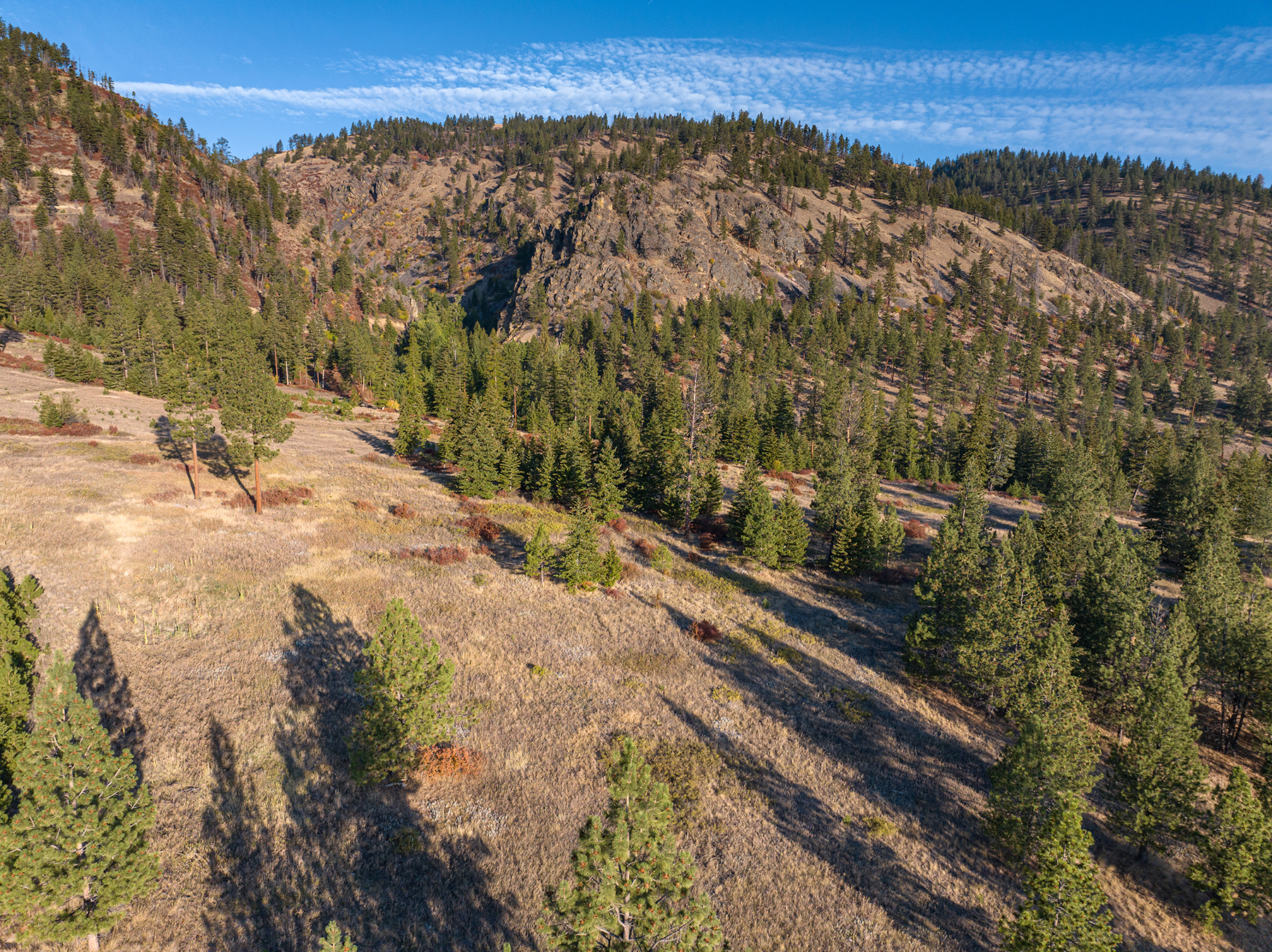 Summit at Lolo Ranch property picture 17 of 28