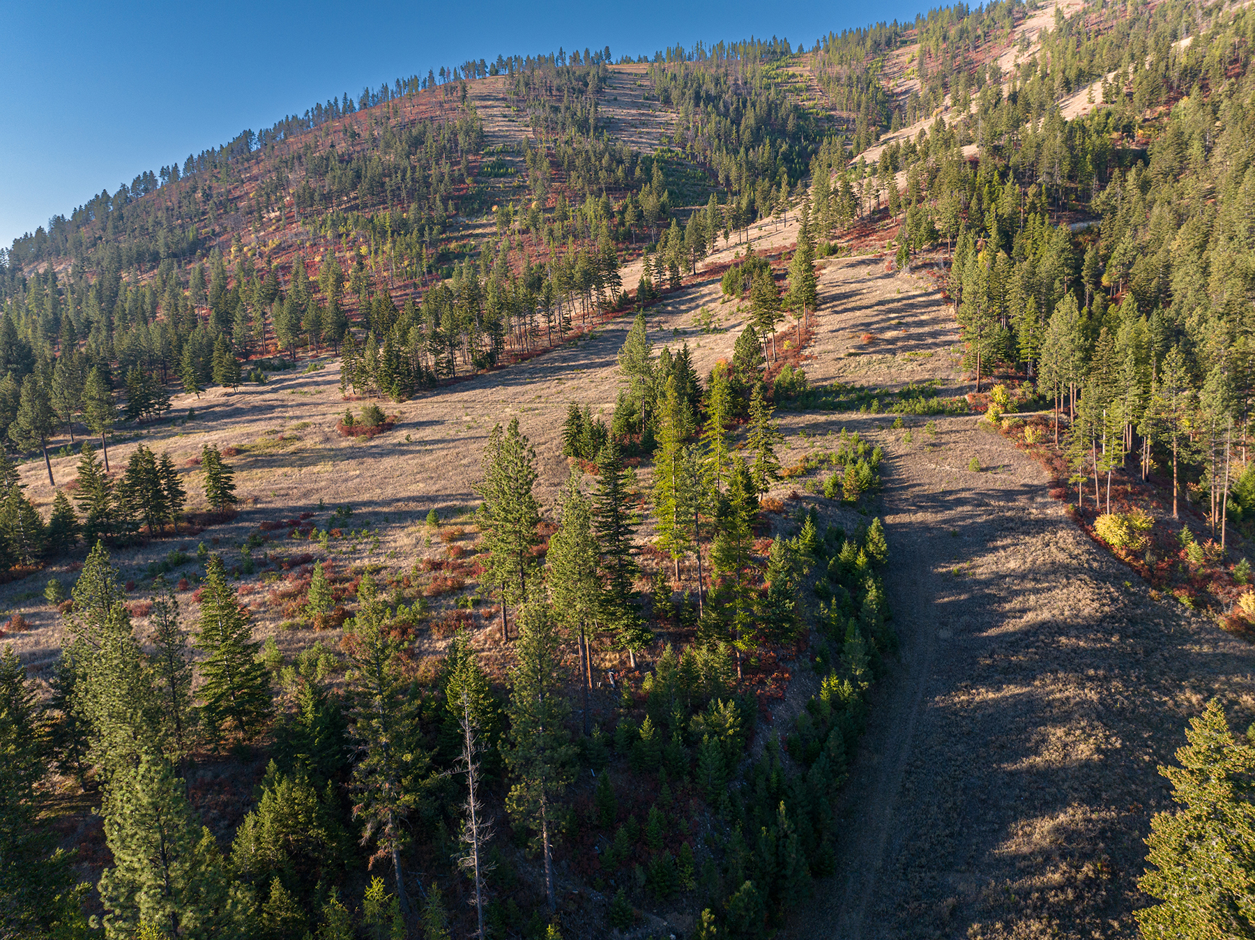 Summit at Lolo Ranch property picture 14 of 28