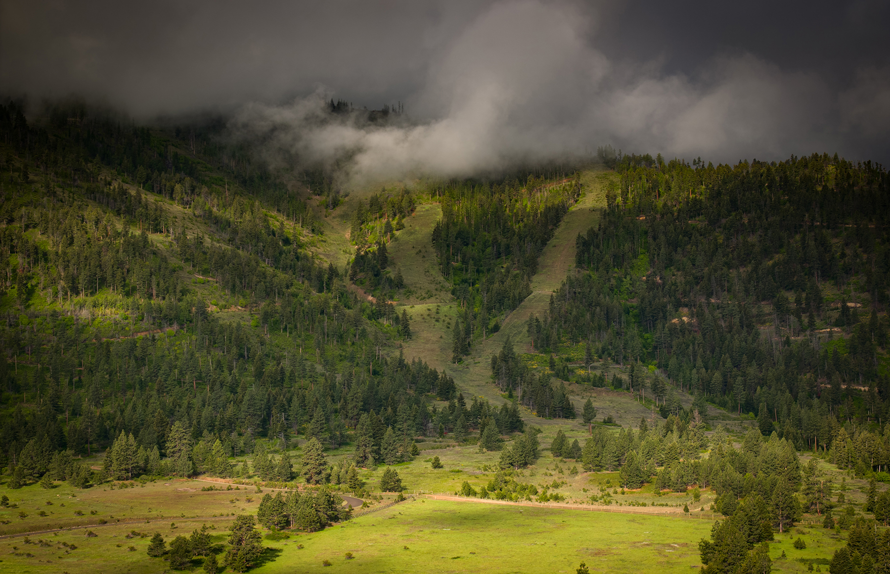 Summit at Lolo Ranch property picture 3 of 28