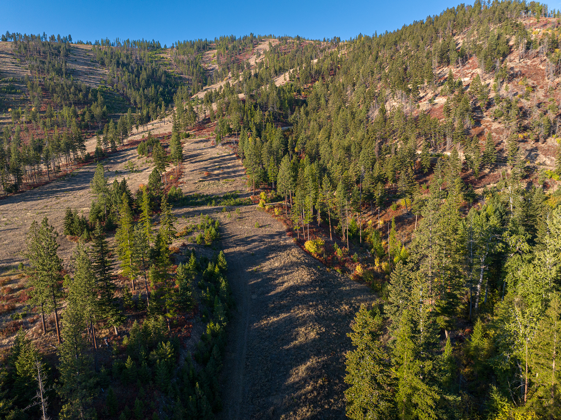 Summit at Lolo Ranch property picture 13 of 28