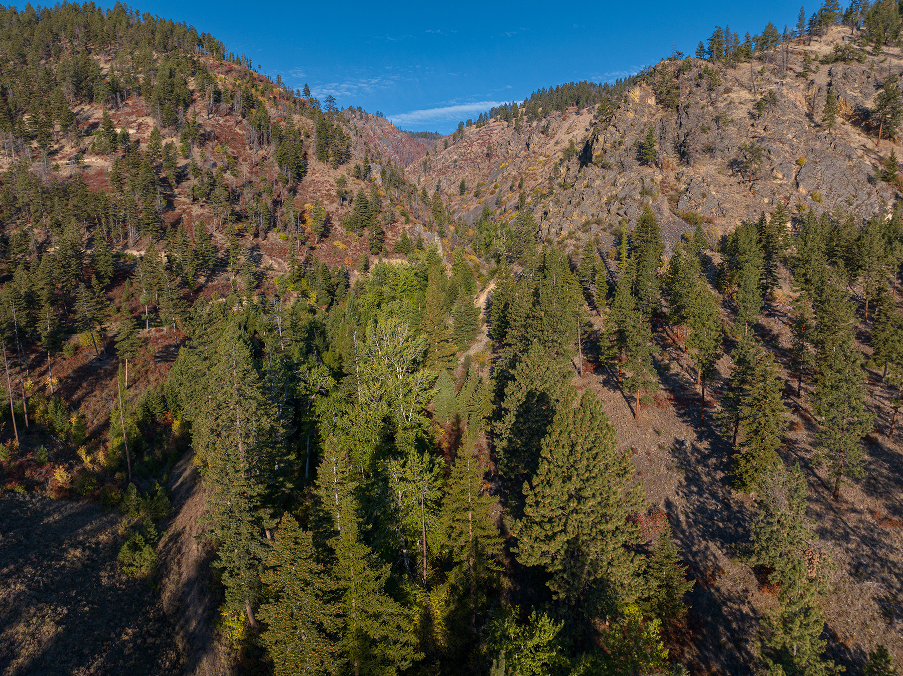Summit at Lolo Ranch property picture 11 of 28