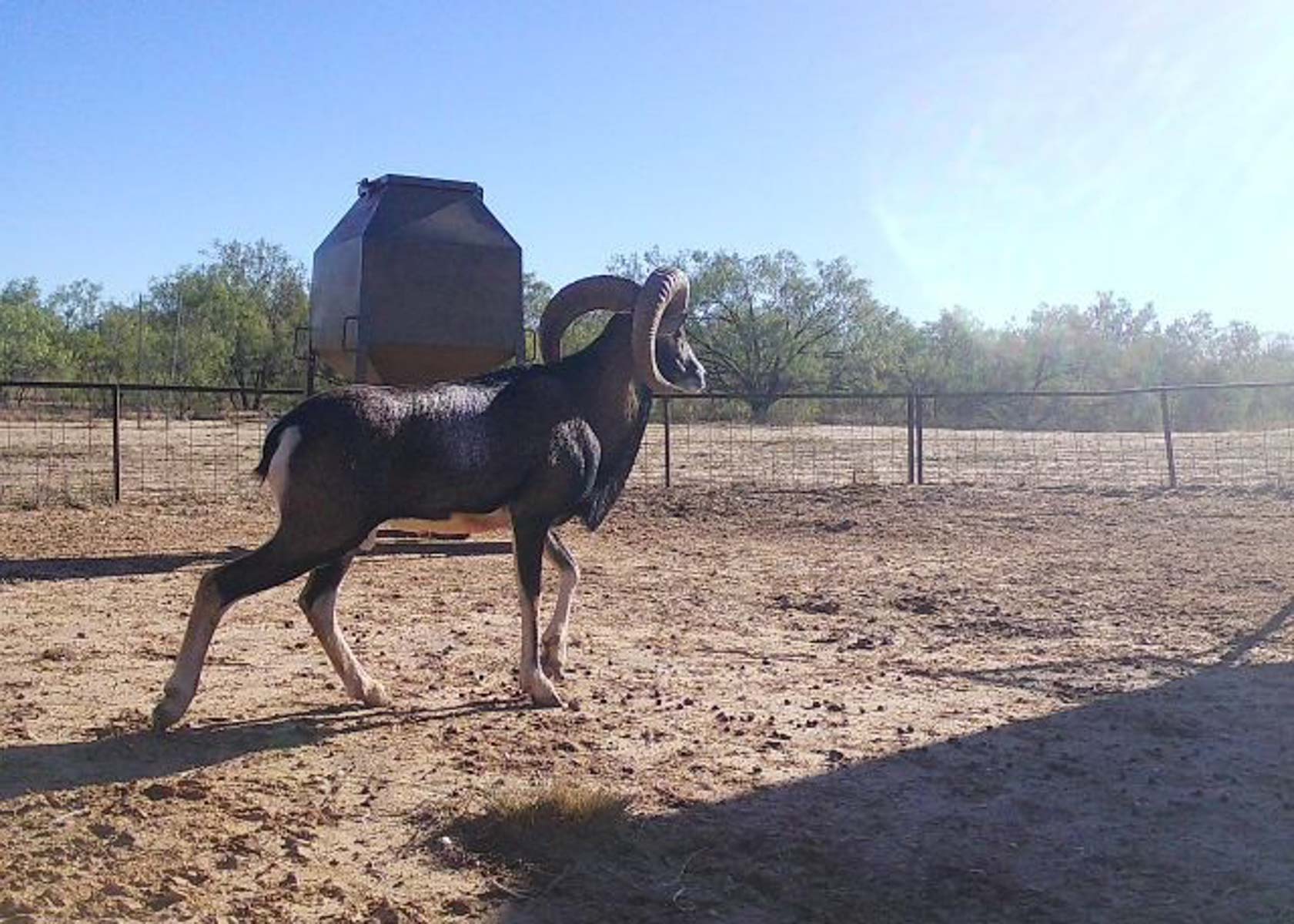 Valhalla Ranch property picture 70 of 80