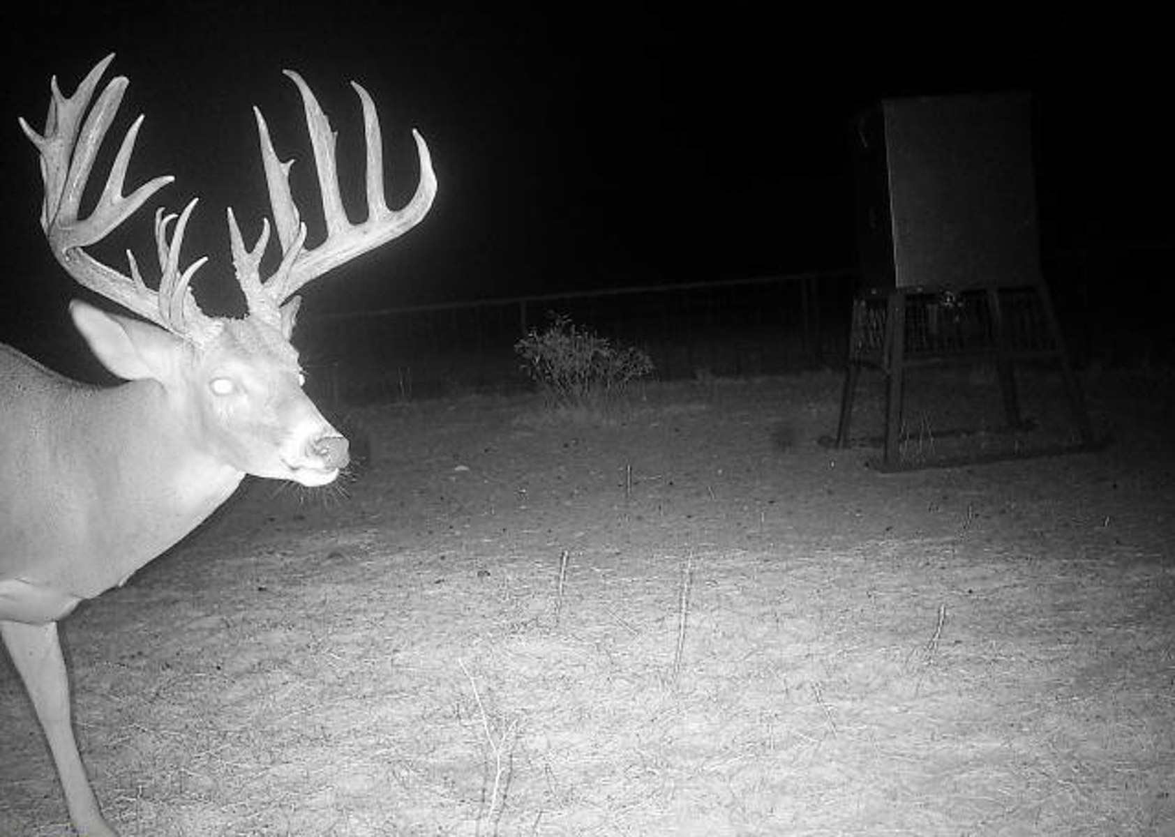 Valhalla Ranch property picture 48 of 80