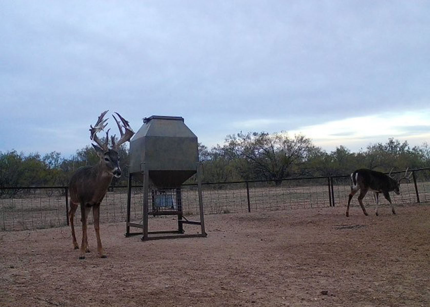 Valhalla Ranch property picture 45 of 80