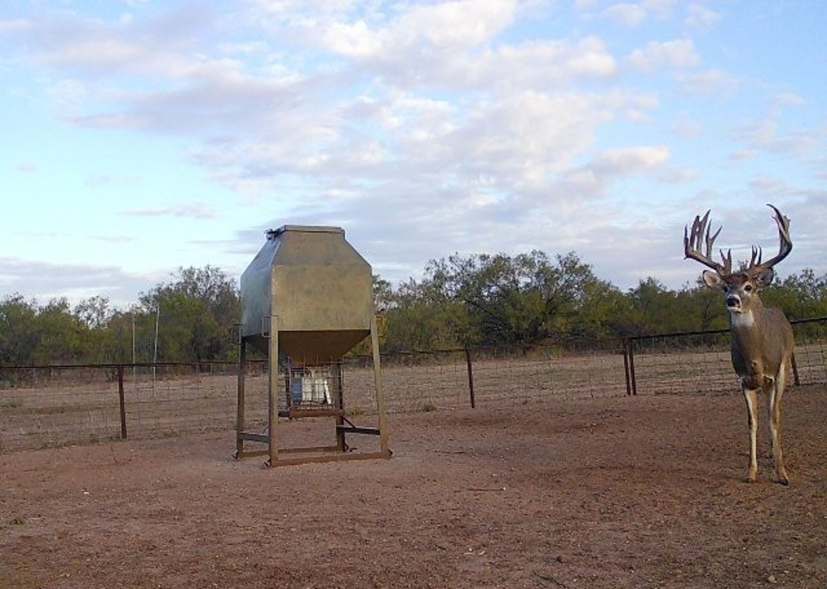 Valhalla Ranch property picture 46 of 80