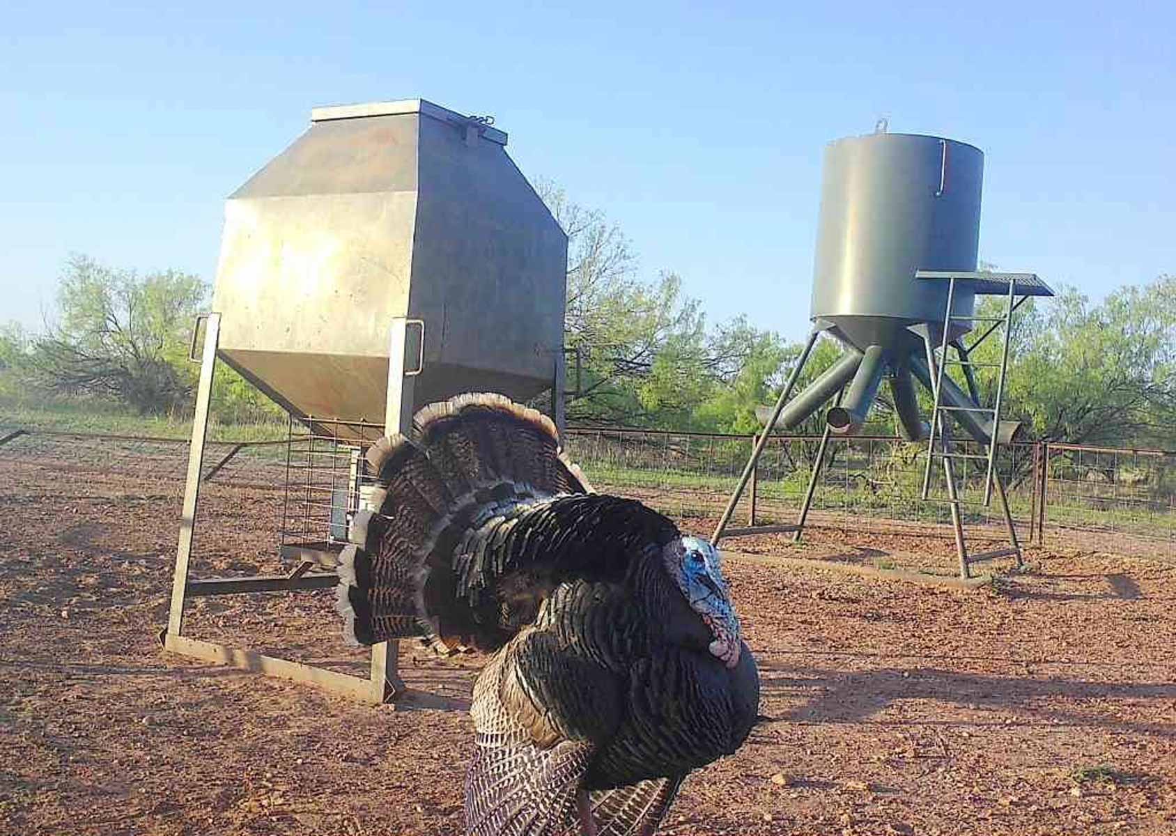 Valhalla Ranch property picture 39 of 80