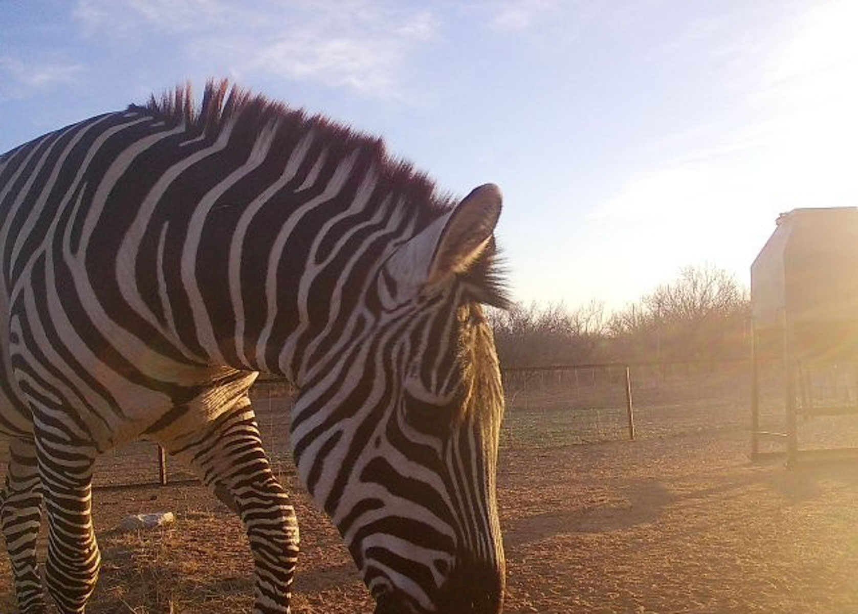 Valhalla Ranch property picture 42 of 80