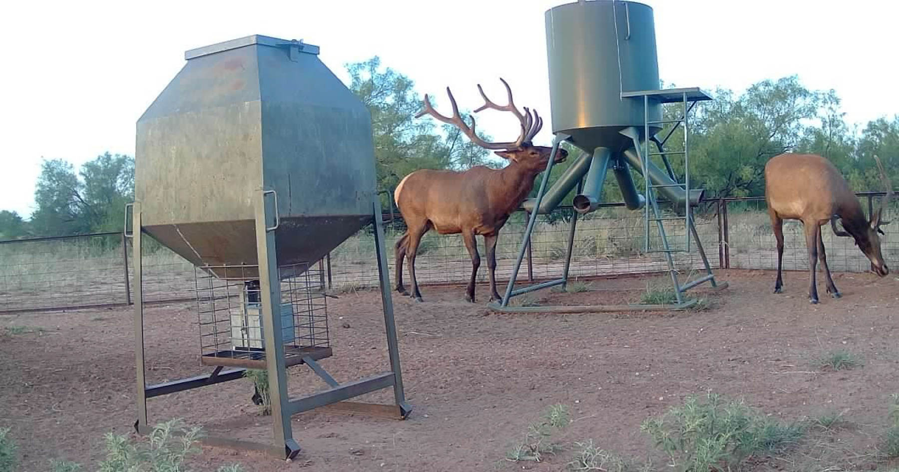 Valhalla Ranch property picture 68 of 80