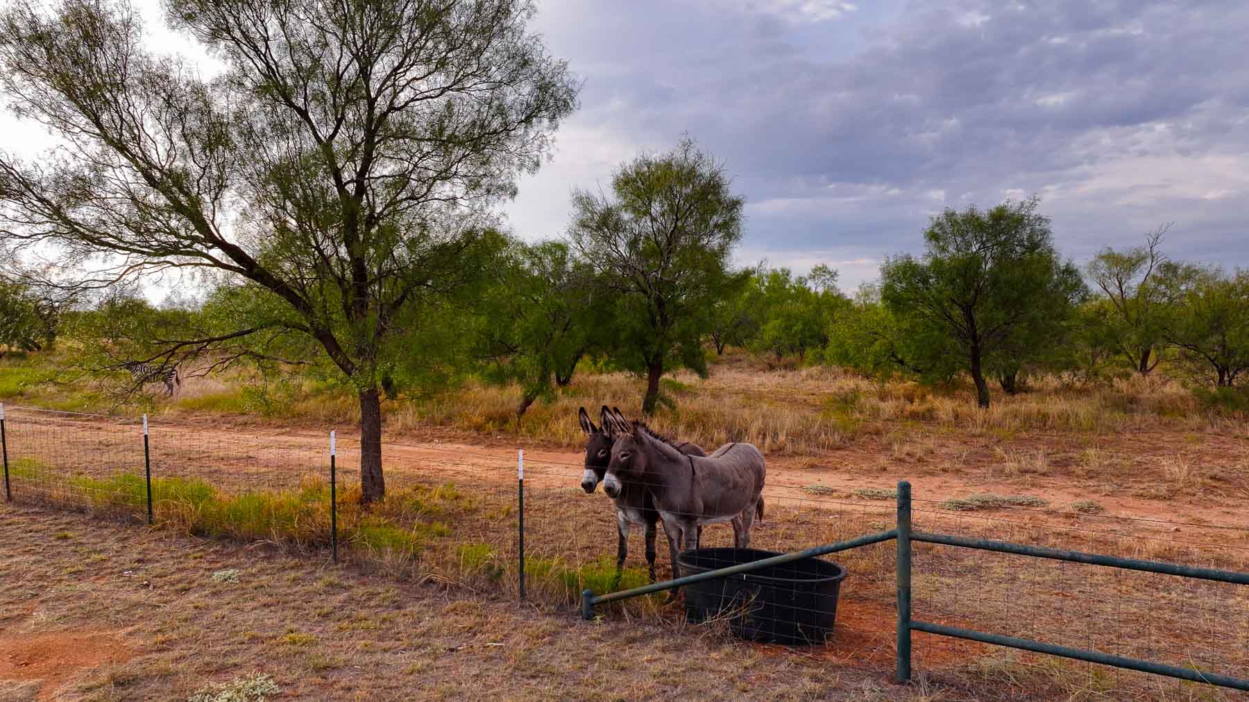 Valhalla Ranch property picture 76 of 80