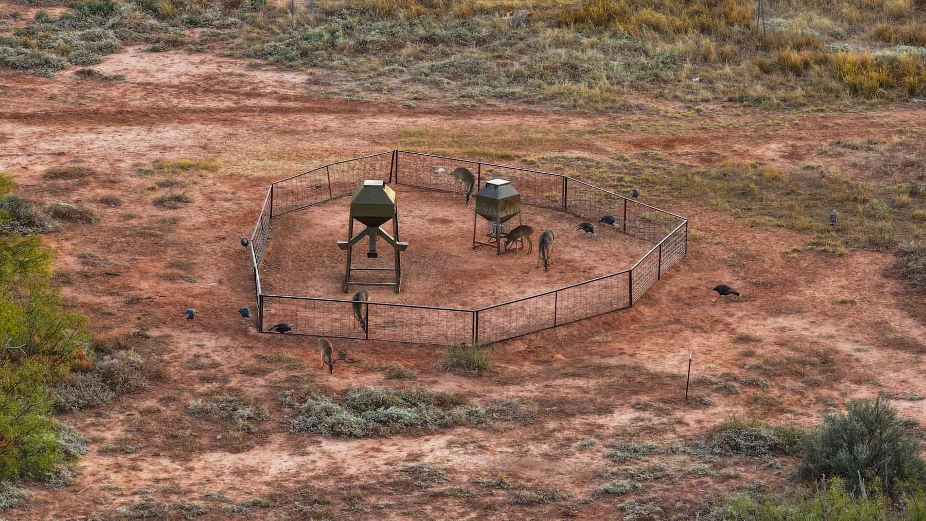 Valhalla Ranch property picture 58 of 80