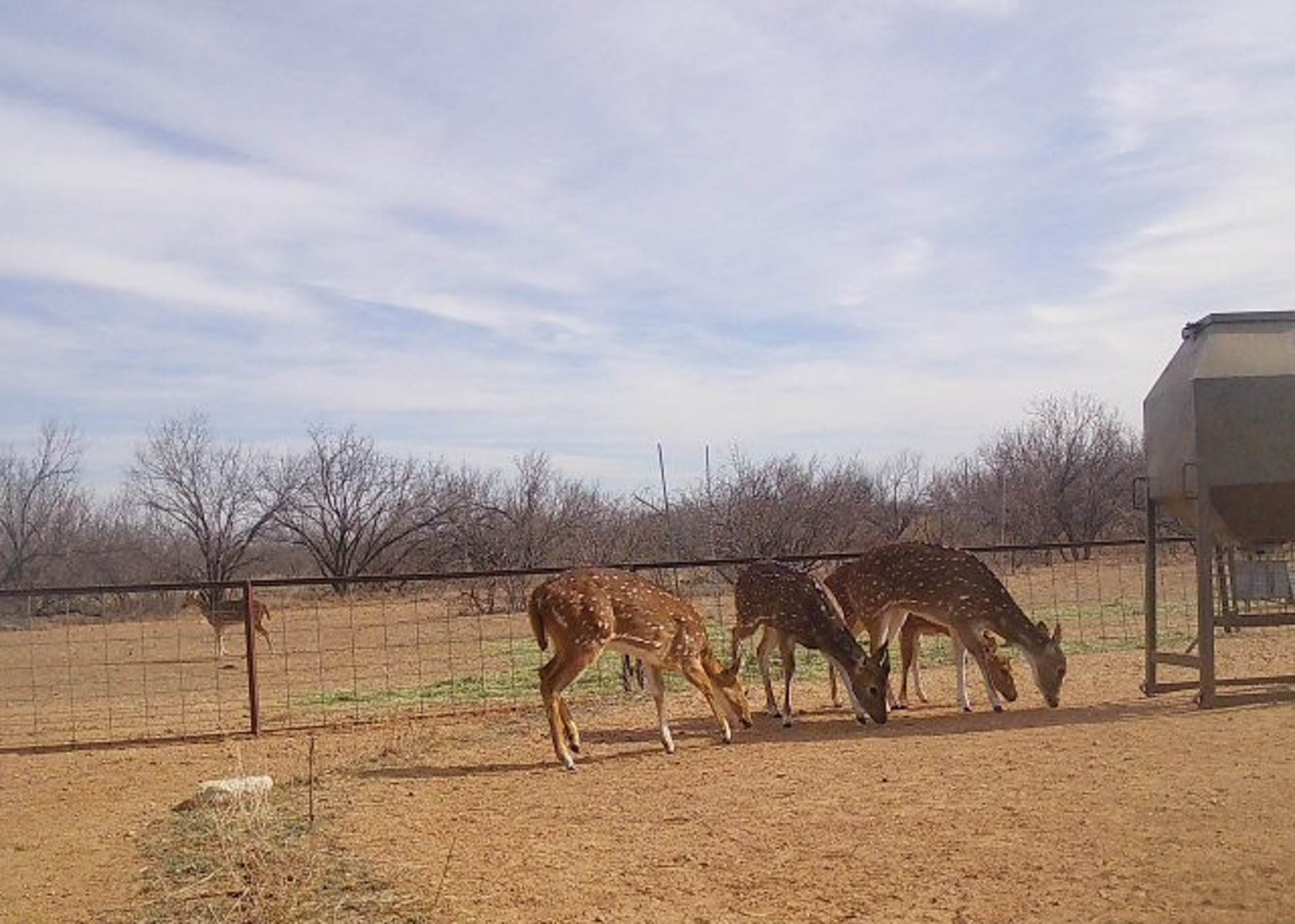 Valhalla Ranch property picture 43 of 80