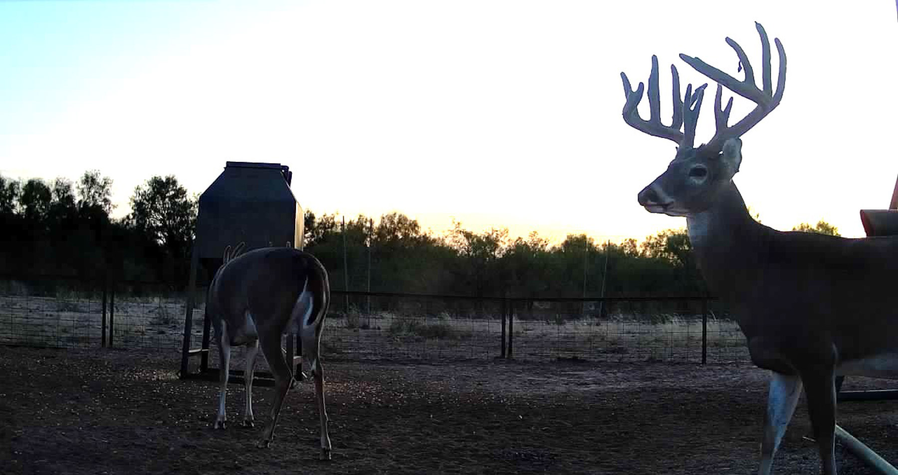 Valhalla Ranch property picture 4 of 80
