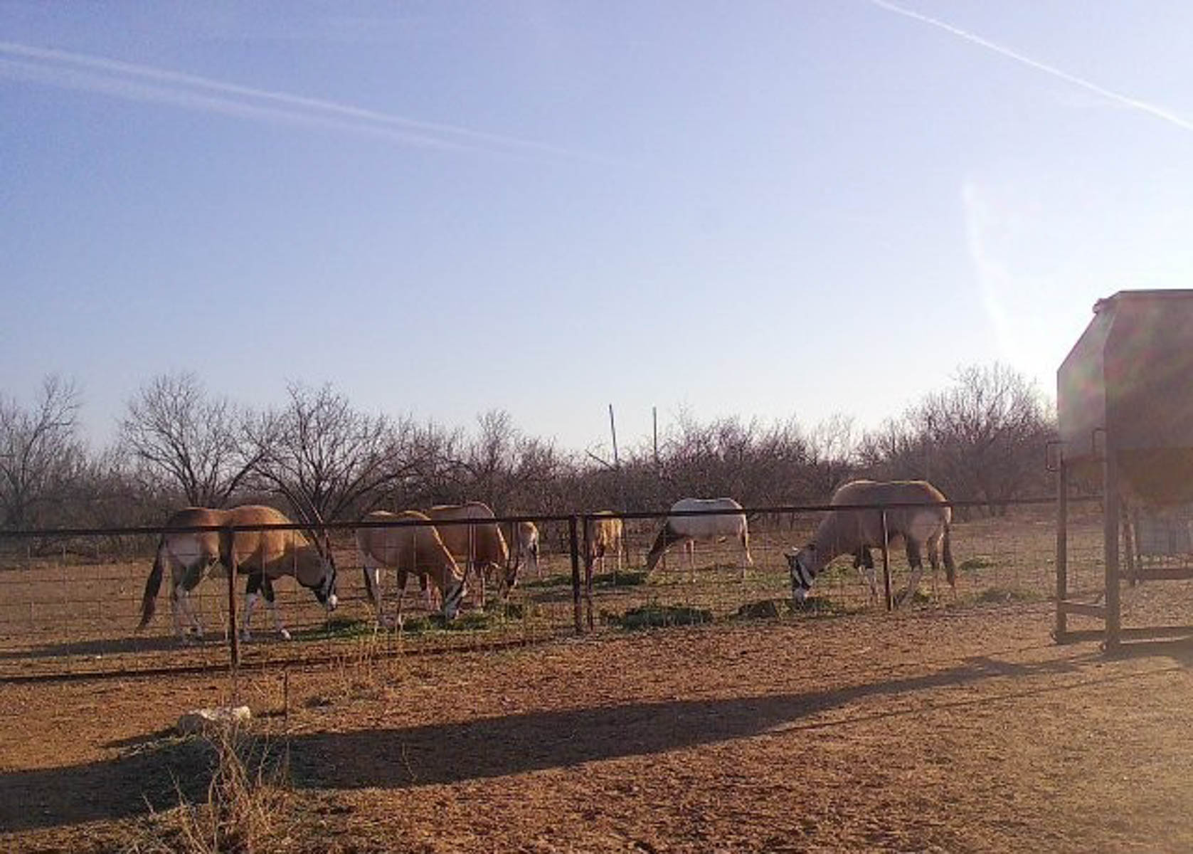 Valhalla Ranch property picture 44 of 80